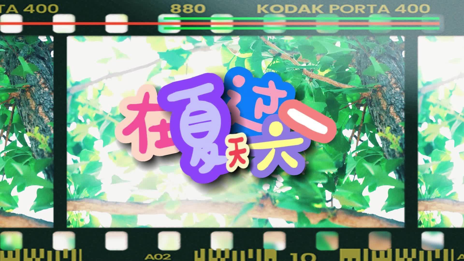 阳光明媚的夏天，欢乐爽朗的六一，祝大朋友小朋友六一快乐~