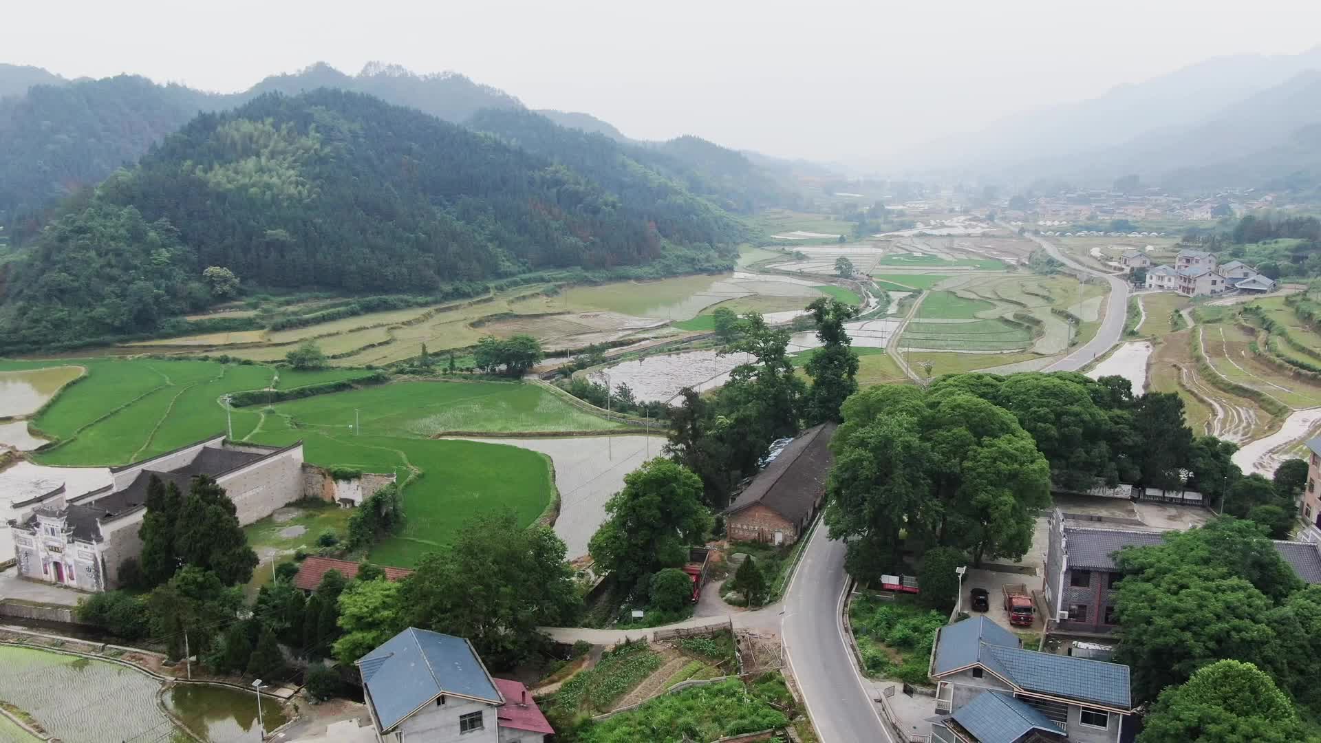 视频｜怀化中方：乡村生态美  池鹭翩翩飞