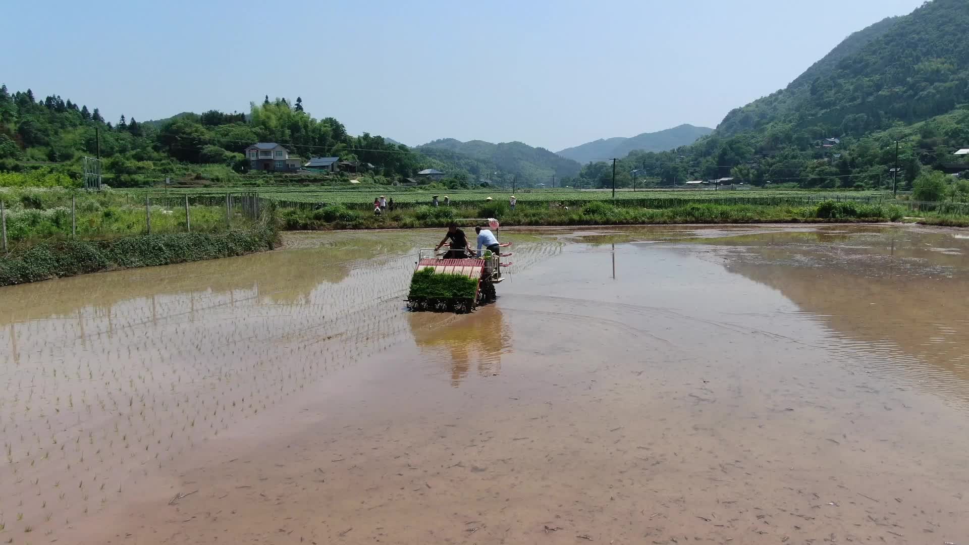 视频｜中方：“机插秧”拓宽机械强农路