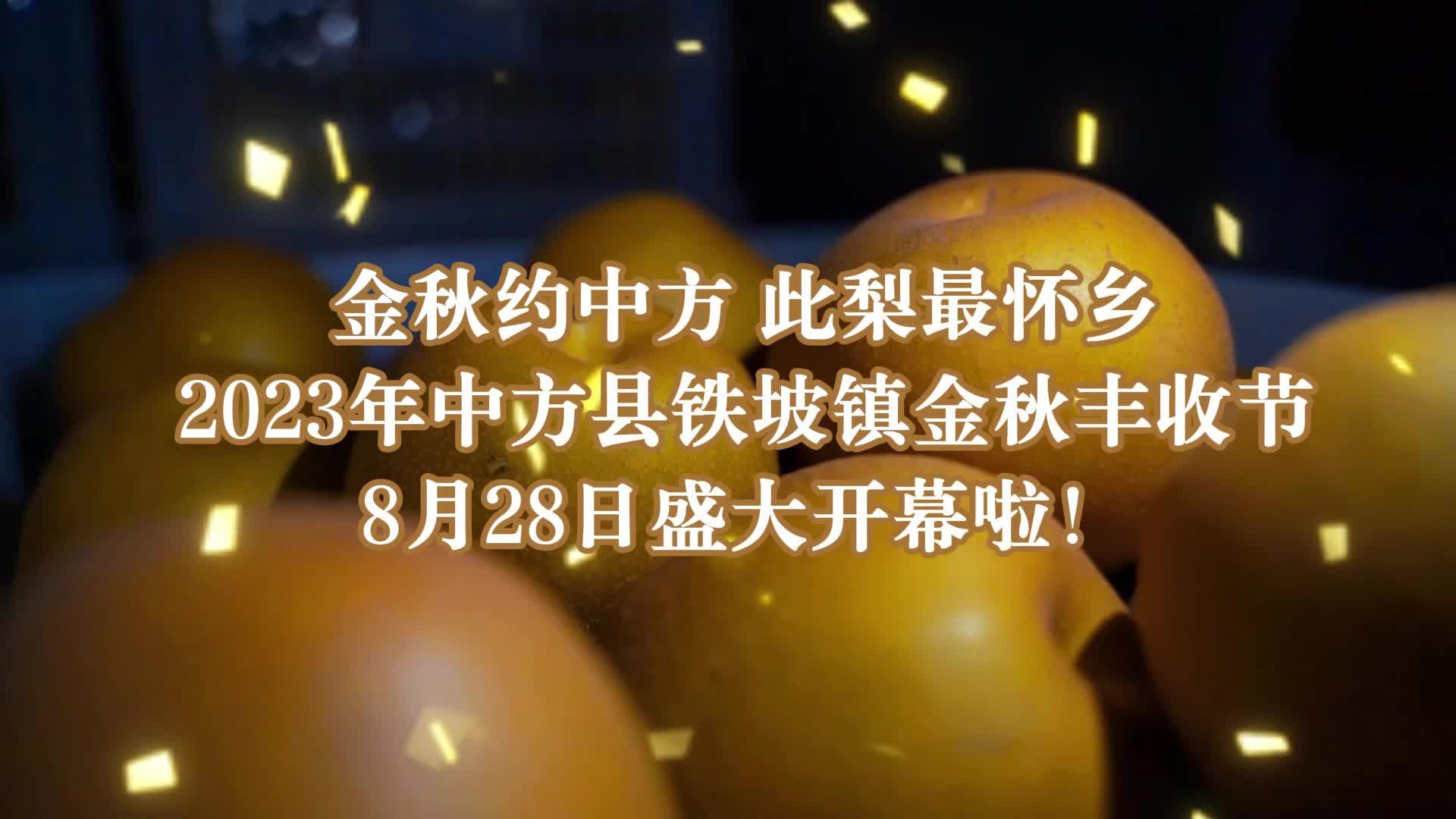 视频|金秋梨熟啦！2023年中方县铁坡镇金秋丰收节预告来啦！