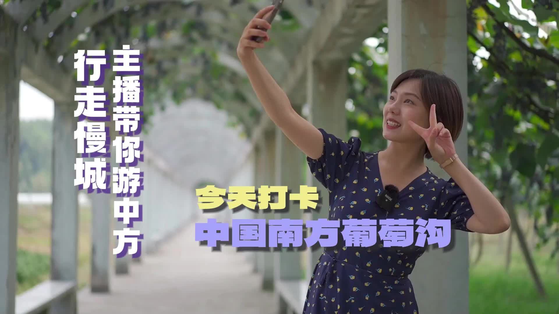 视频|行走慢城·主播带你游中方①打卡中国南方葡萄沟