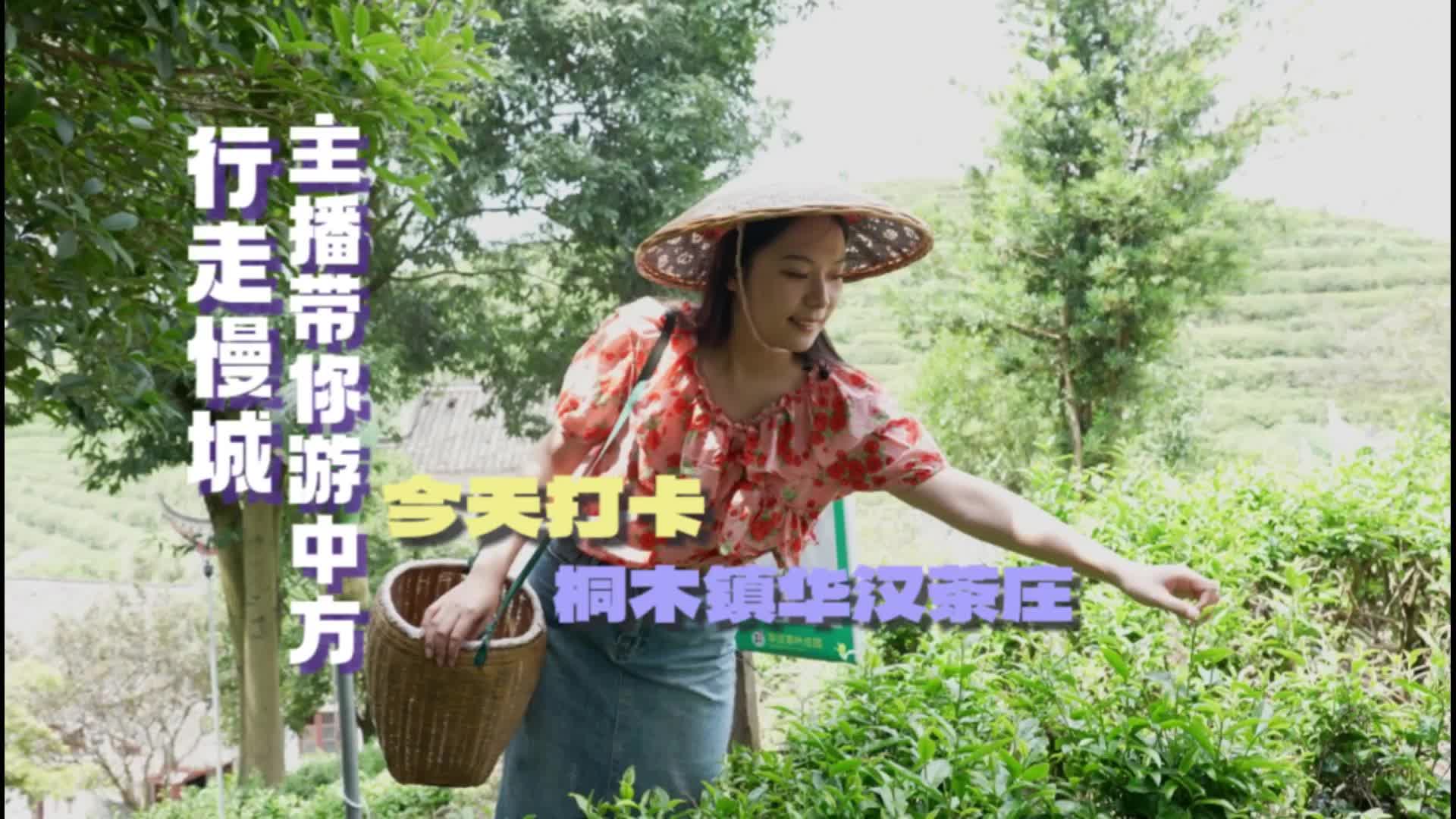 视频|行走慢城·主播带你游中方②打卡华汉茶庄