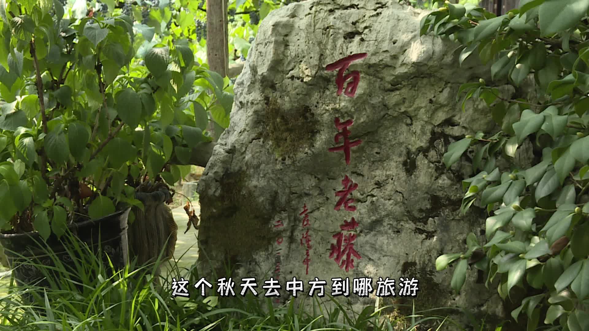 怀景|中方旅游打卡地推荐③：秋天从中方出发能去哪玩？这份攻略请您查收