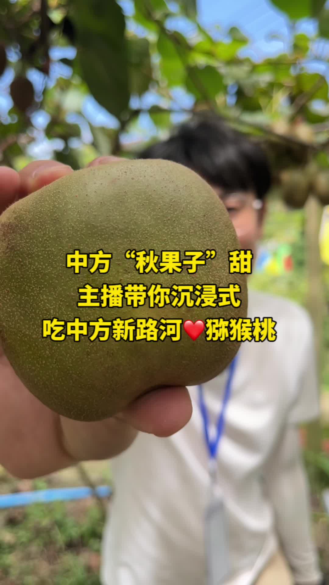 中方“秋果子”甜  主播带你沉浸式吃中方新路河猕猴桃