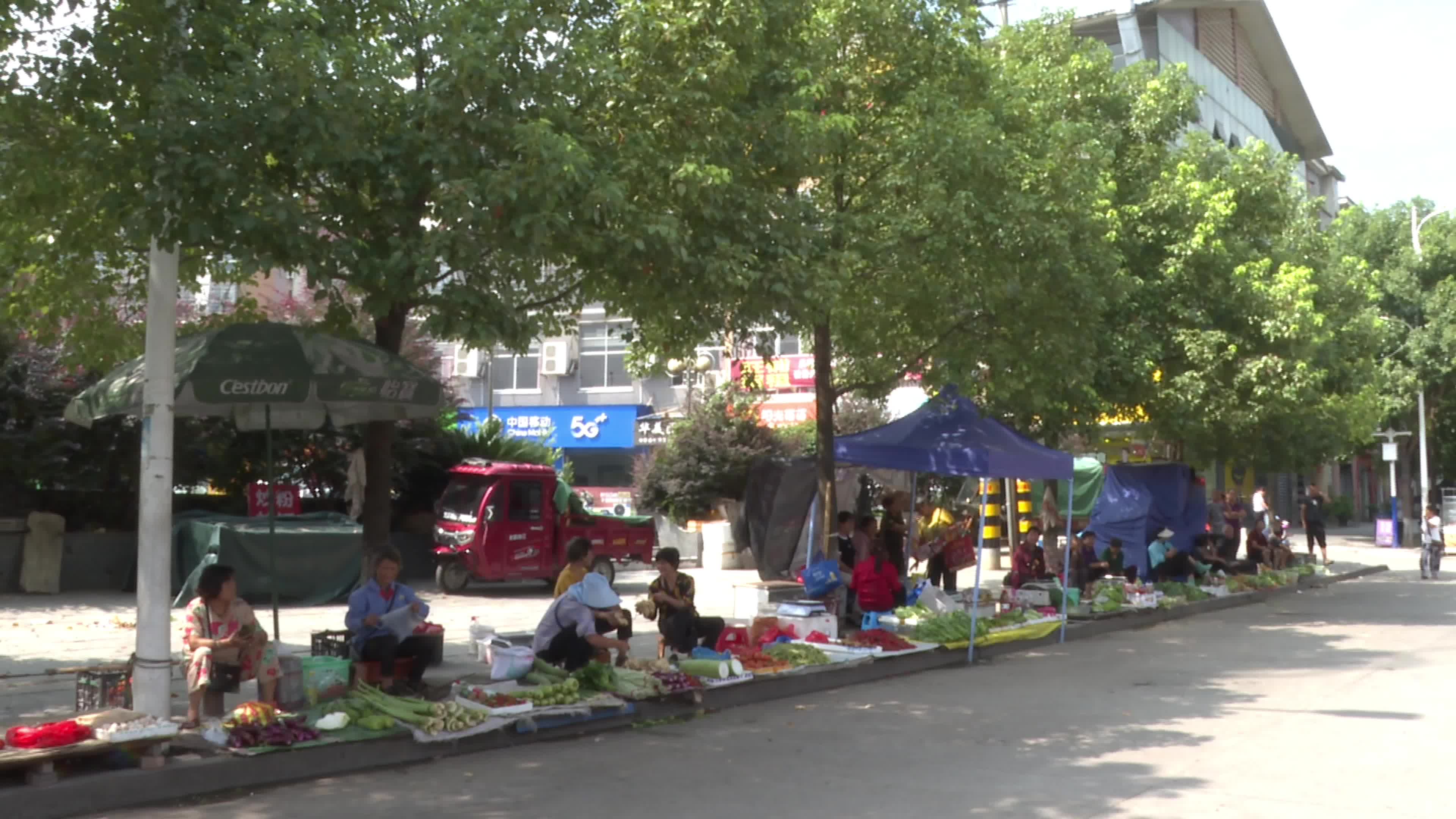 视频|中方县城管执法局多措并举开展交通问题顽瘴痼疾整治