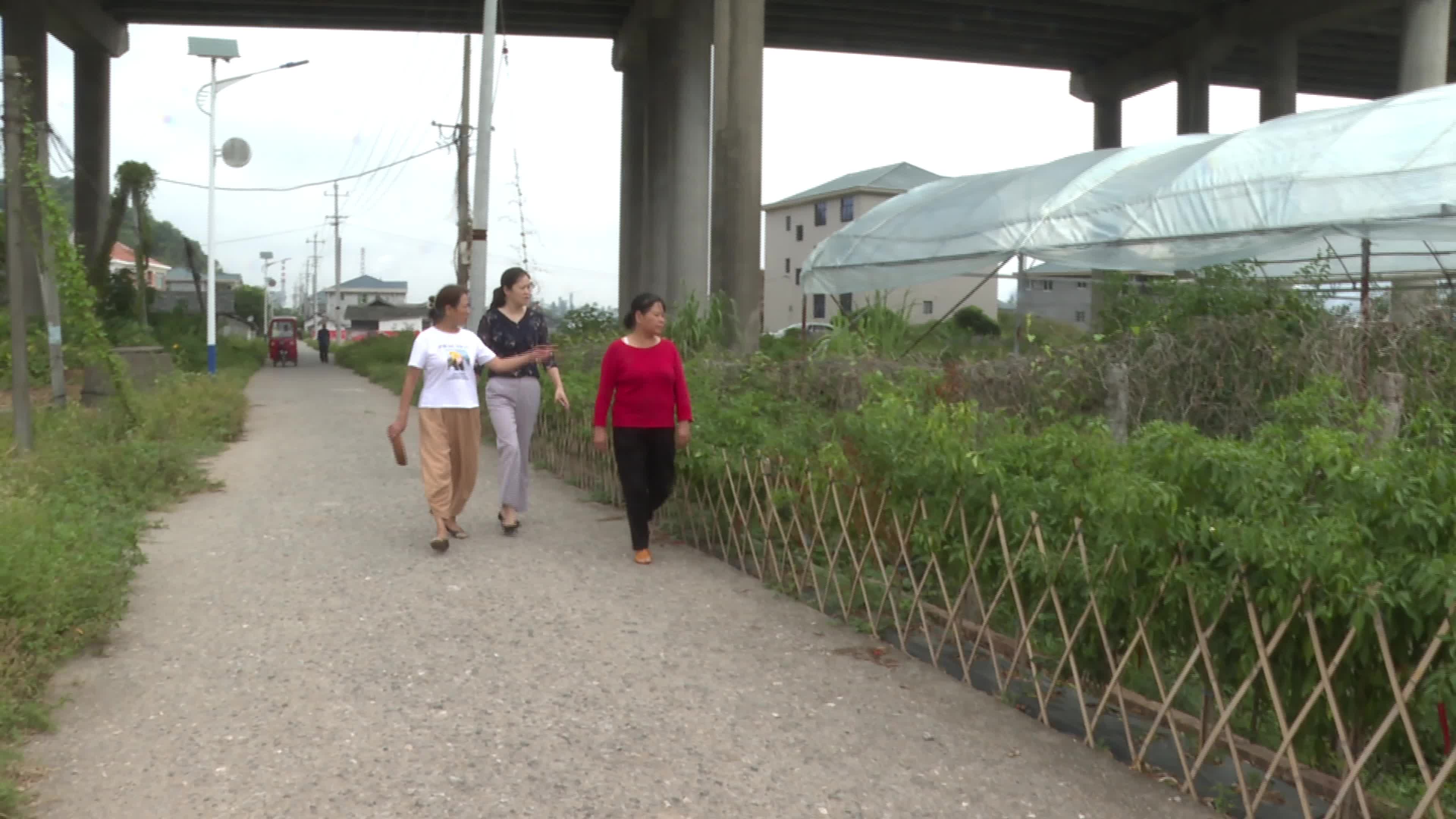 视频|中方县林业局把技术送到枣农心坎上