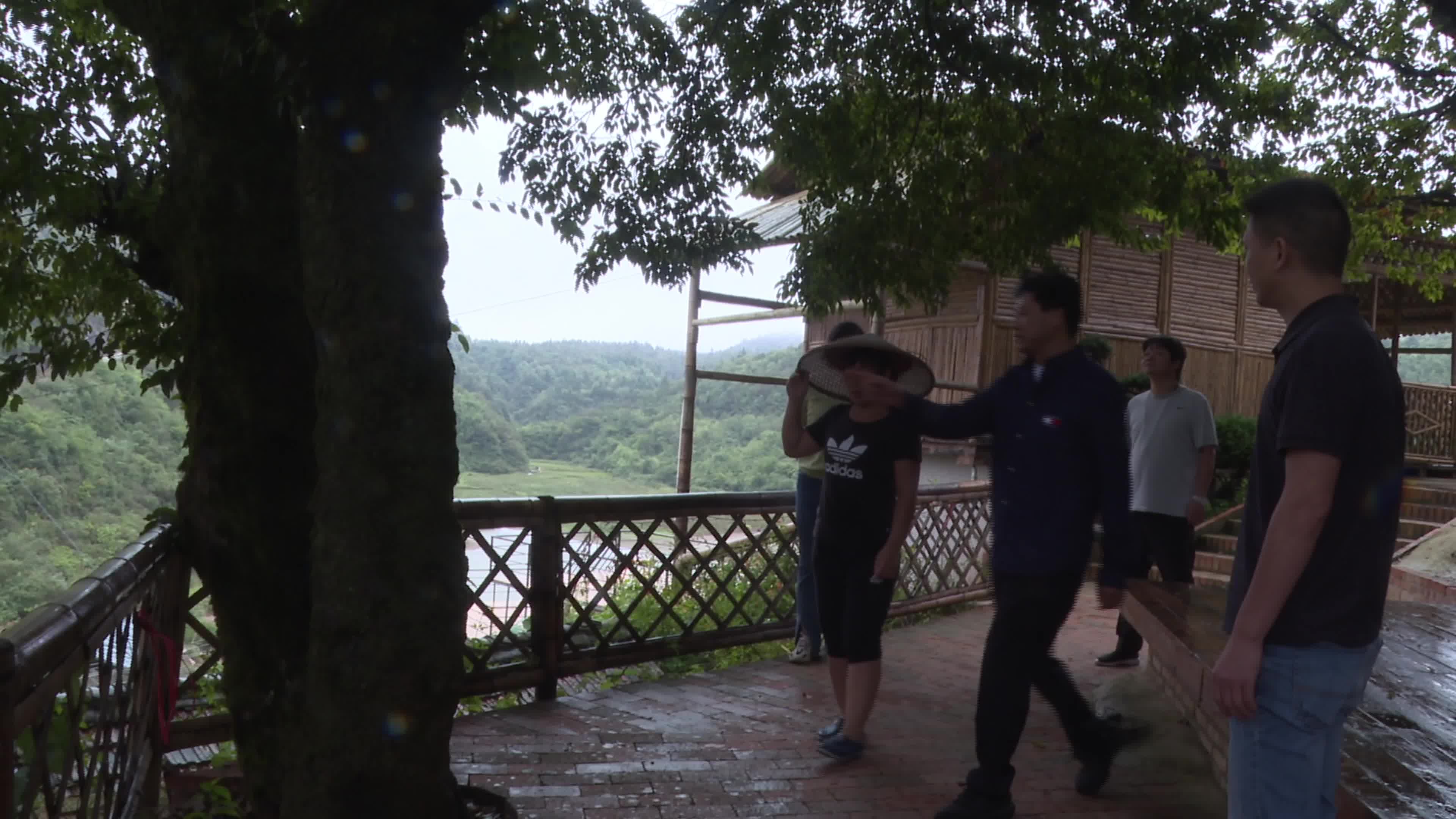 视频|中方县林业局多措并举开展古树名木保护工作