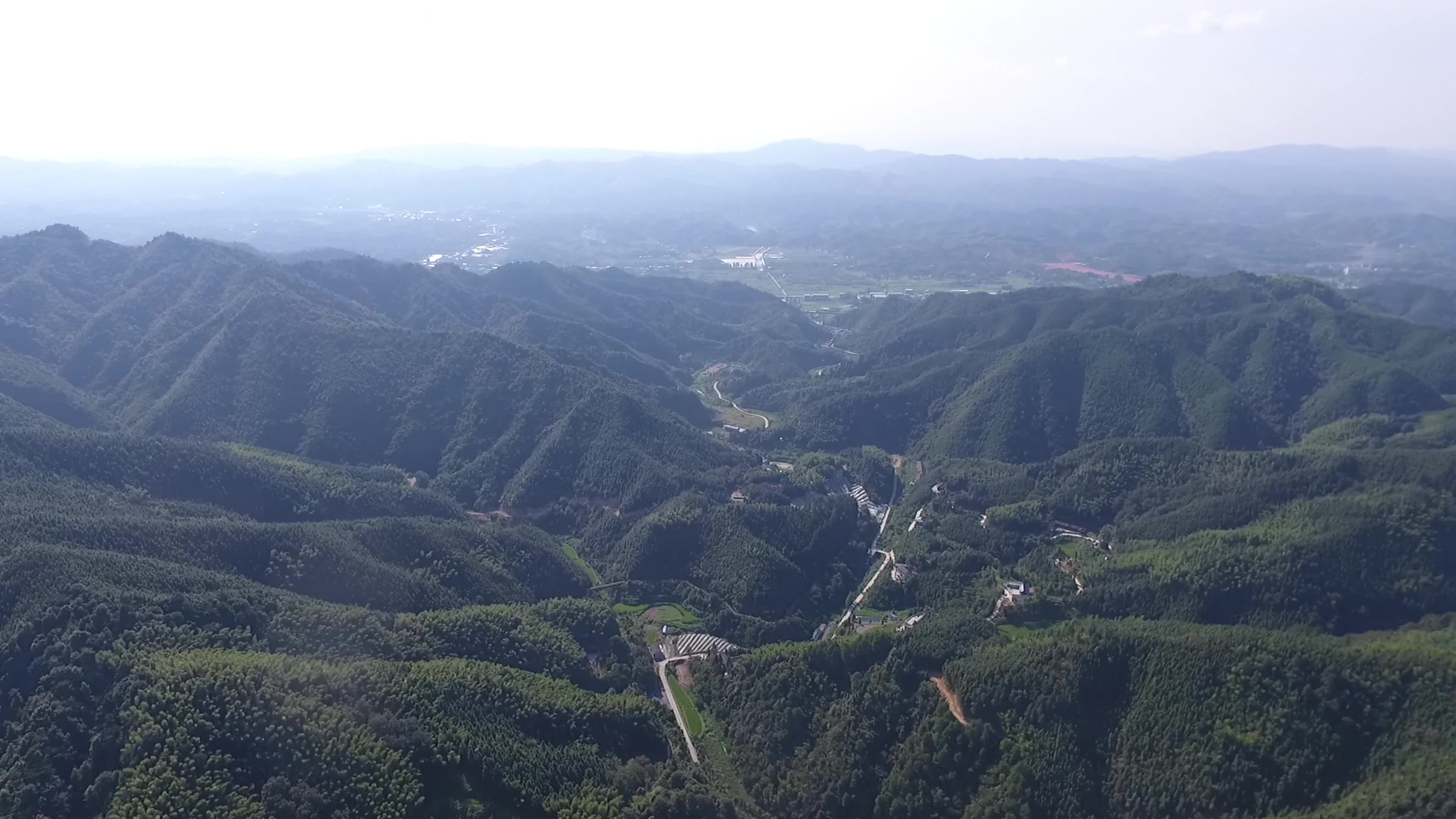 视频|中方县林业局：助力林下经济 优化营商环境