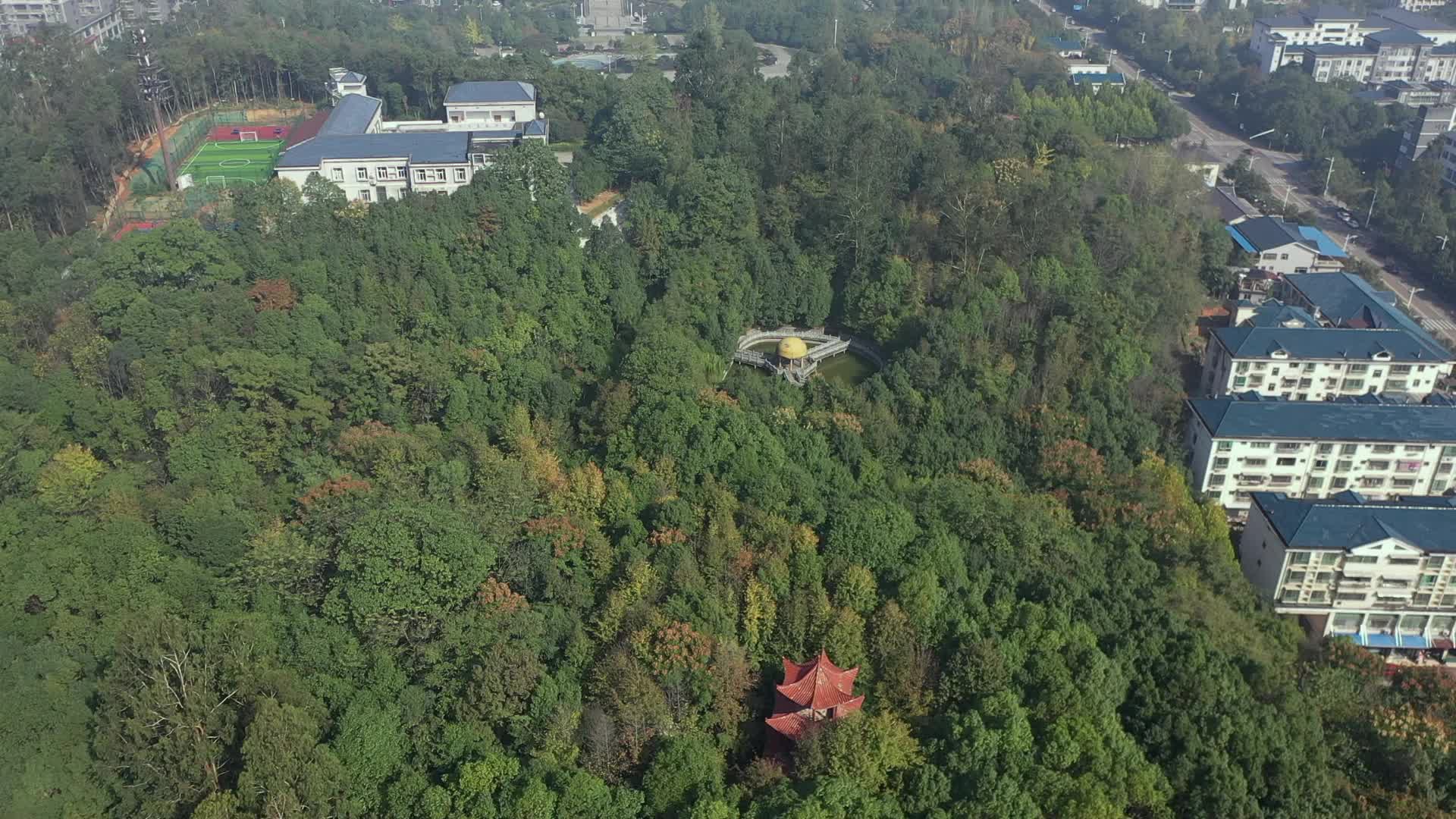 视频|大美中方·生态美城 中方：城在林中别样美