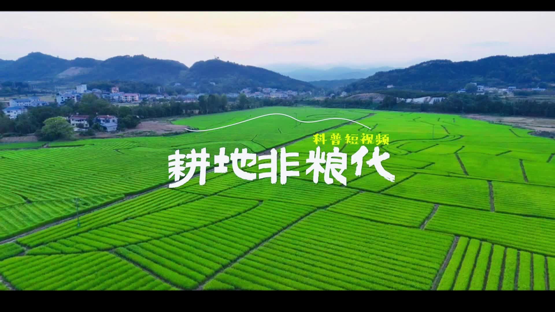 科普视频|耕地非粮化有关的小知识，一起来学习吧~