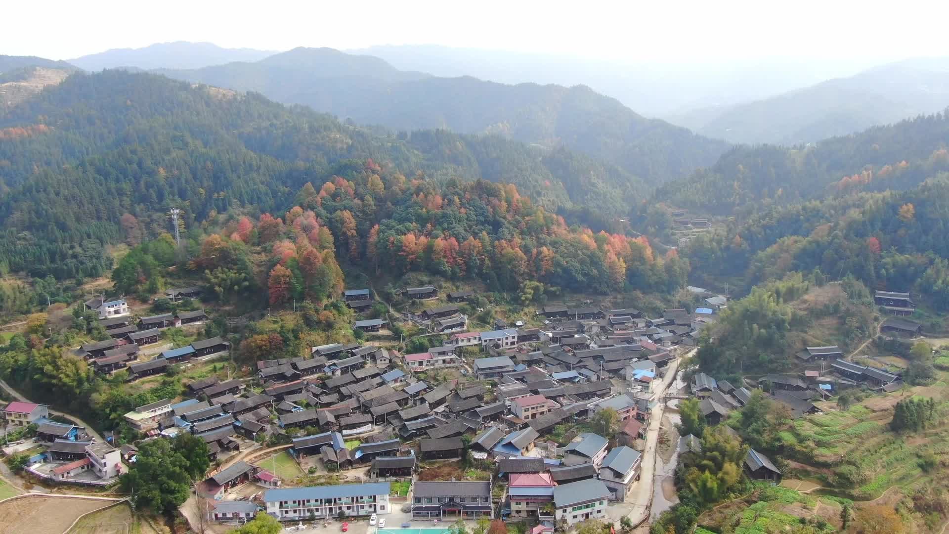 视频｜中方接龙镇龙溪村：层林尽染美如画