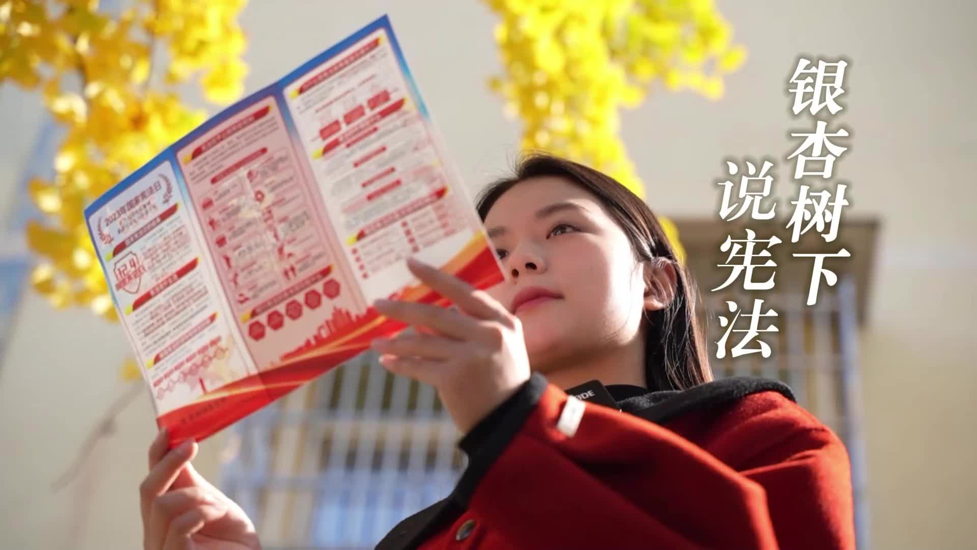 视频|宪法宣传周：银杏树下说宪法