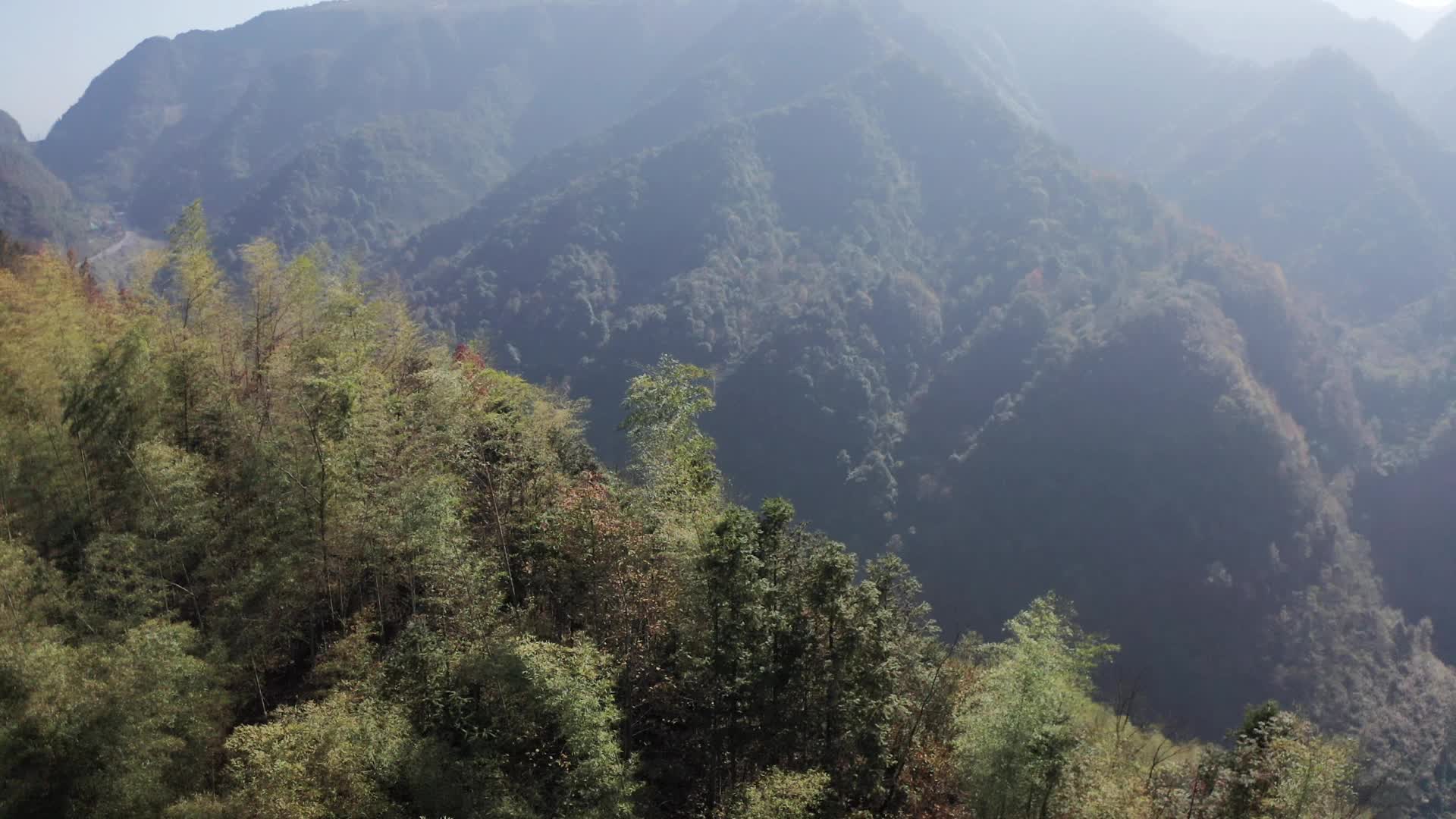 视频|怀化市泸阳国有林场生态护林员袁章清：36年扎根山区 只为守护这片山林