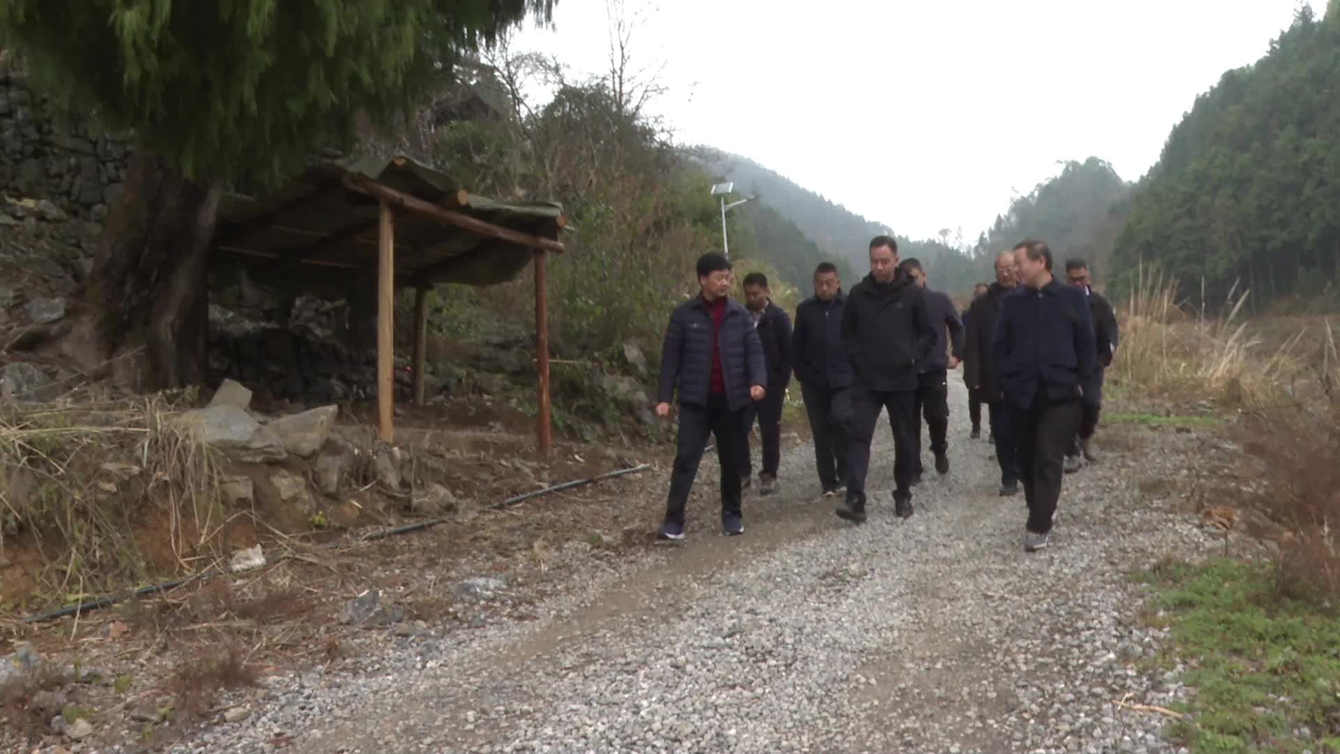 视频|喜讯！中方县顺利通过松材线虫病疫情拔除专家评定