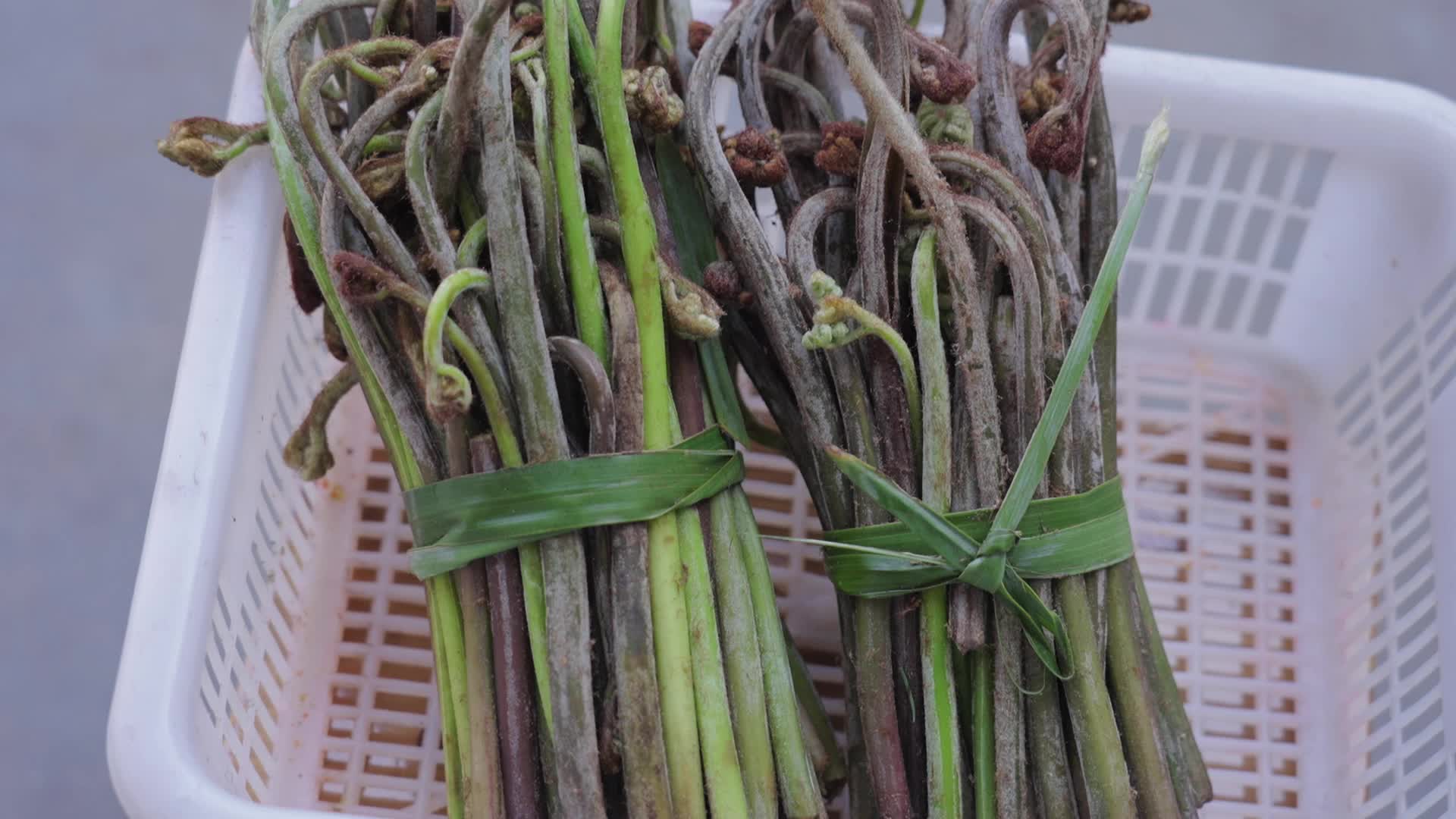 视频|春天的味道·炒蕨菜