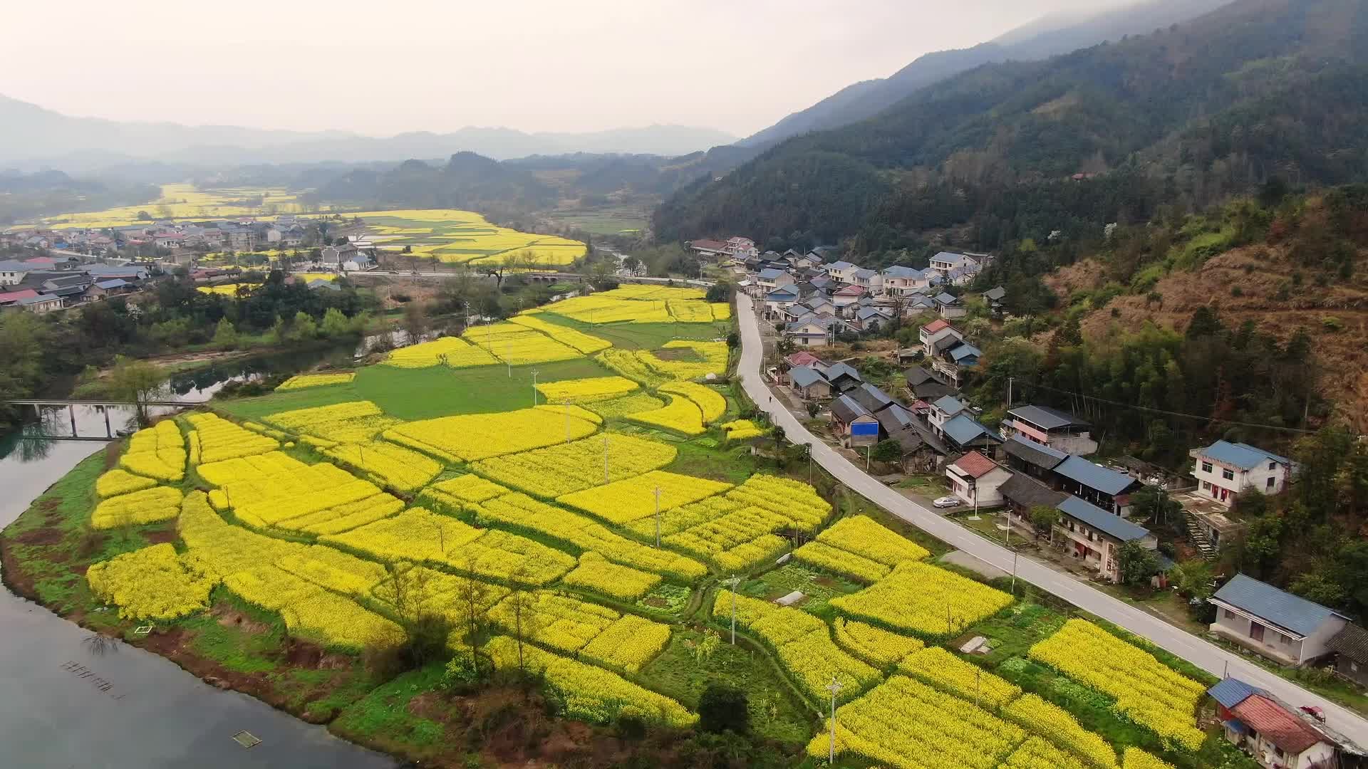 视频|中方县铜湾镇堆子村:油菜花开春意浓视频2024-03-21视频|融媒小