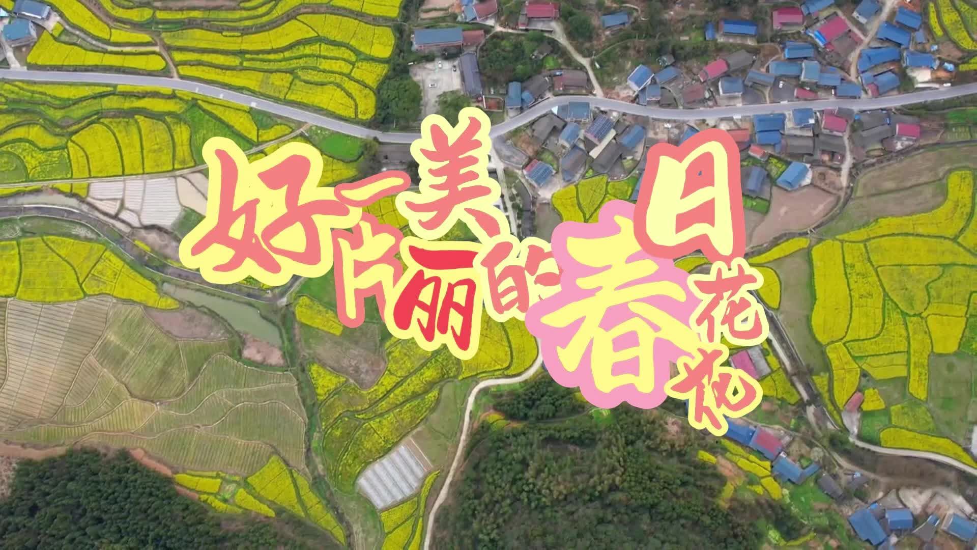 视频|中方县春日限定的美好——好一片美丽的春日花花！