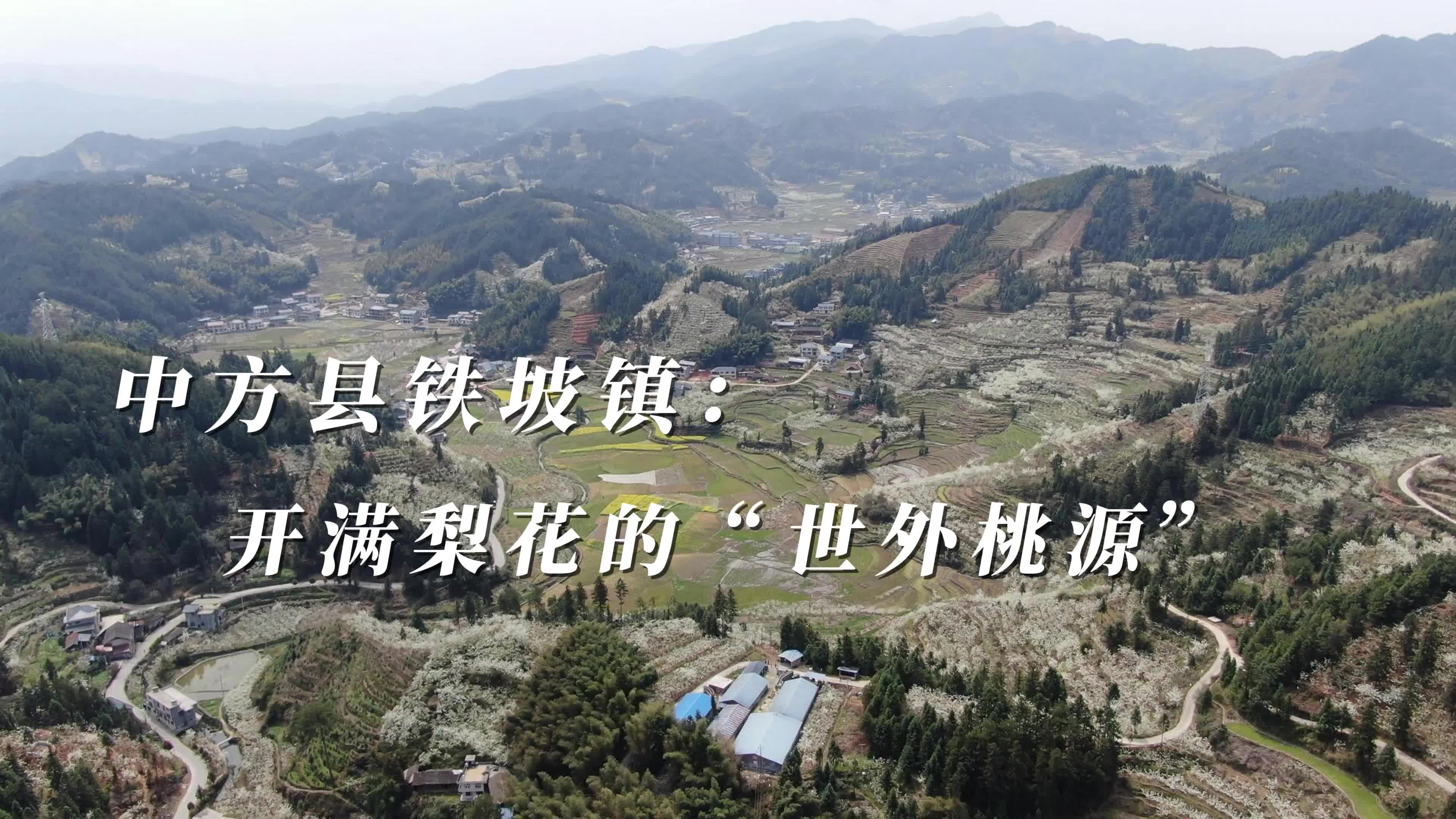 视频|中方县铁坡镇：开满梨花的“世外桃源”