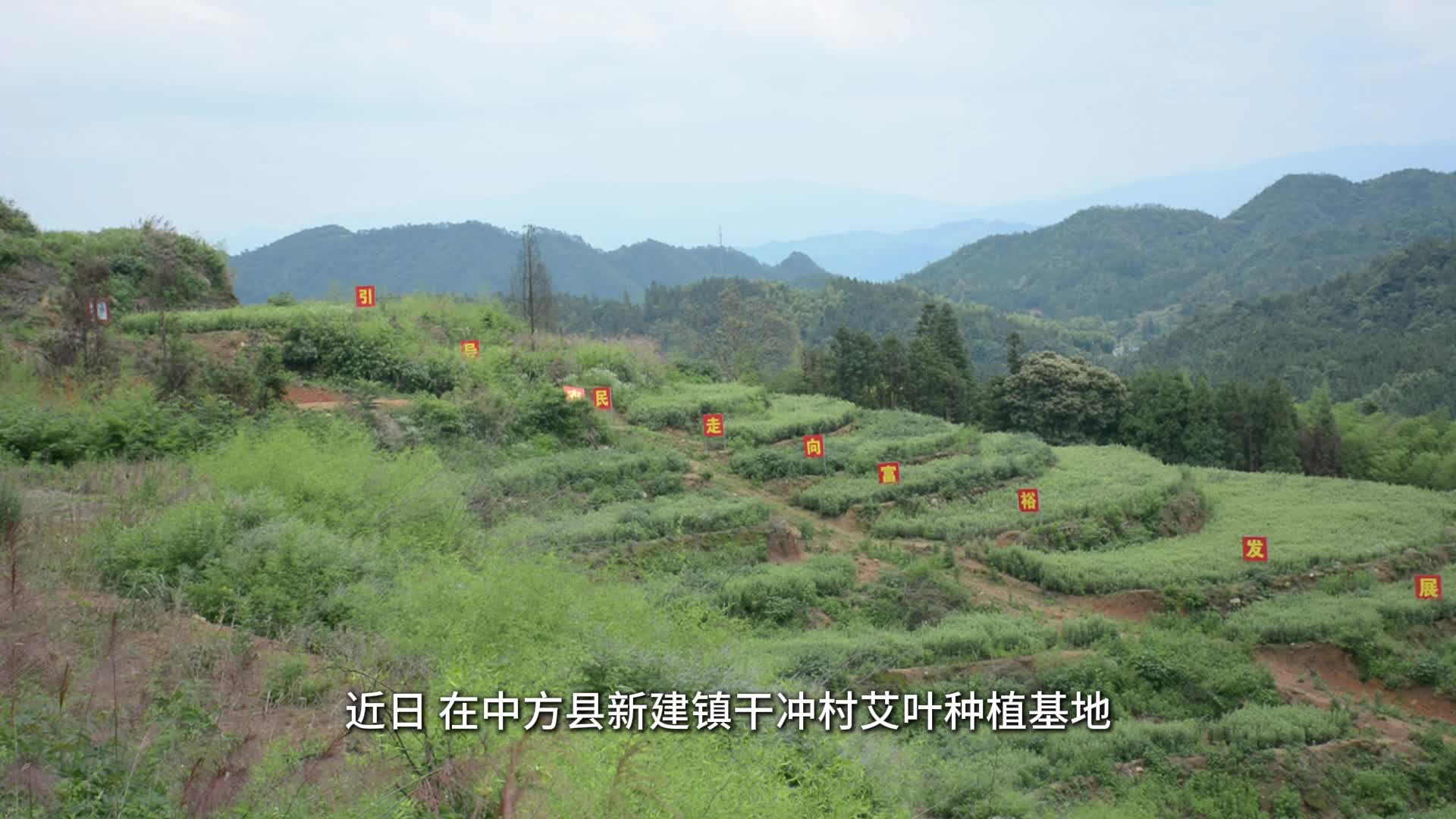 中方新闻网
