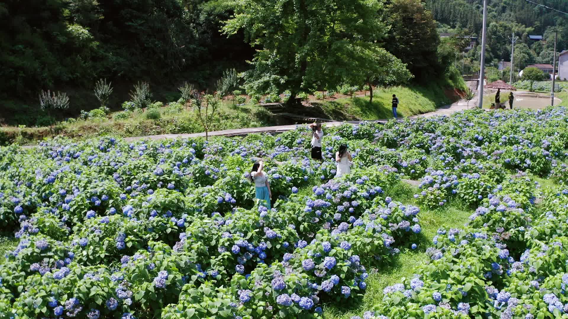 视频|中方县土地主生态农庄：花花世界惹人醉