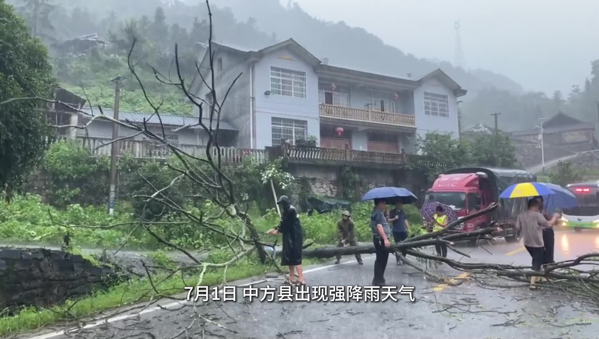 视频|中方县新建镇康龙村：当防汛遇上“七一” 大树拦路？十分钟恢复畅通！
