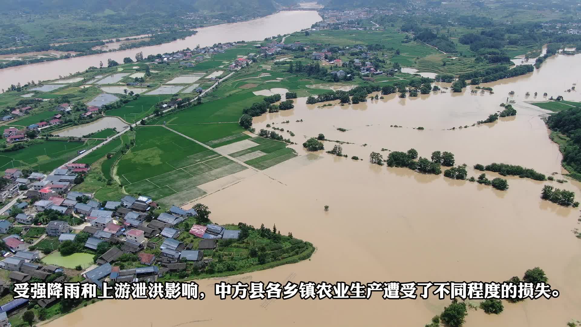 视频|中方县农业农村局：多措并举做好灾后生产自救工作