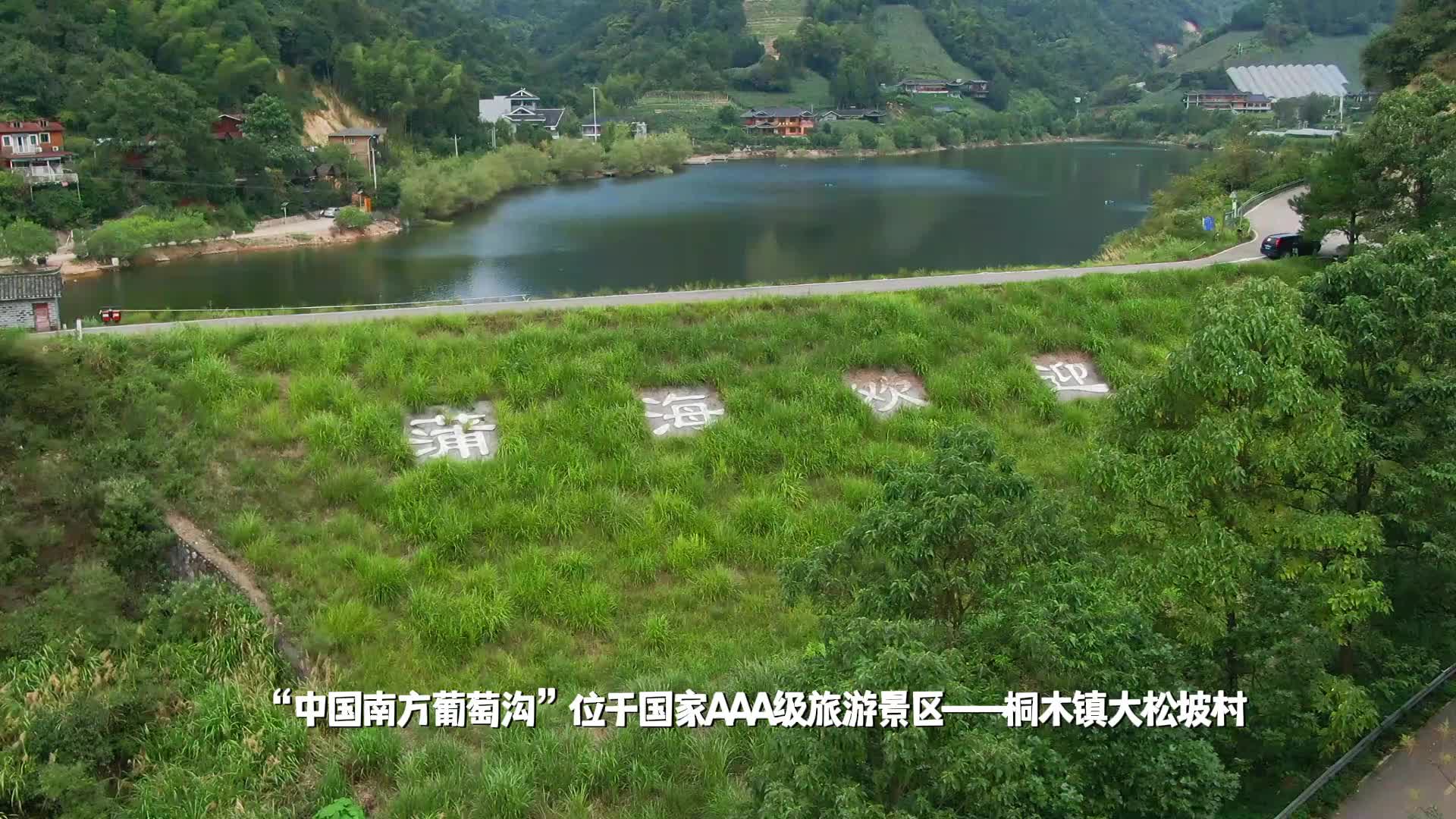 视频|中方夏日十大“冷”门旅游景点——中方县桐木镇南方葡萄沟