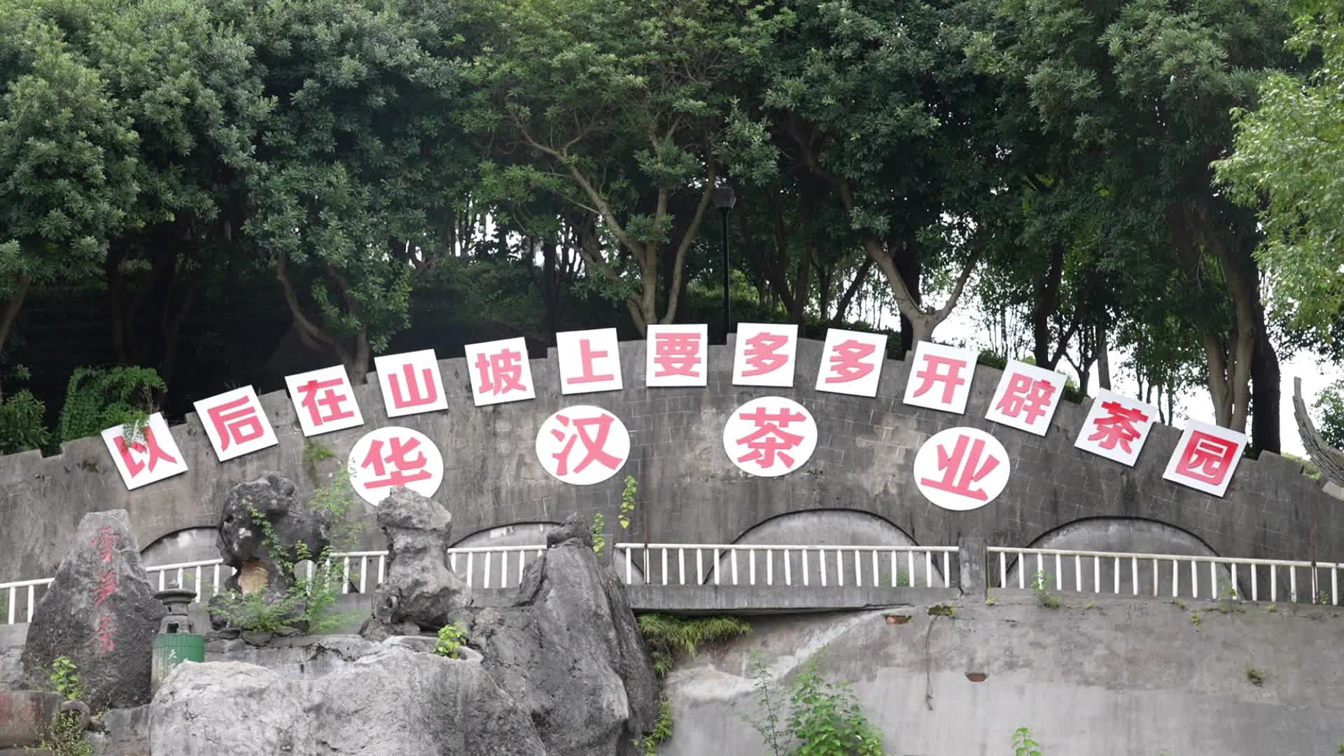 视频|中方夏日十大“冷”门景点——中方县桐木镇华汉茶庄