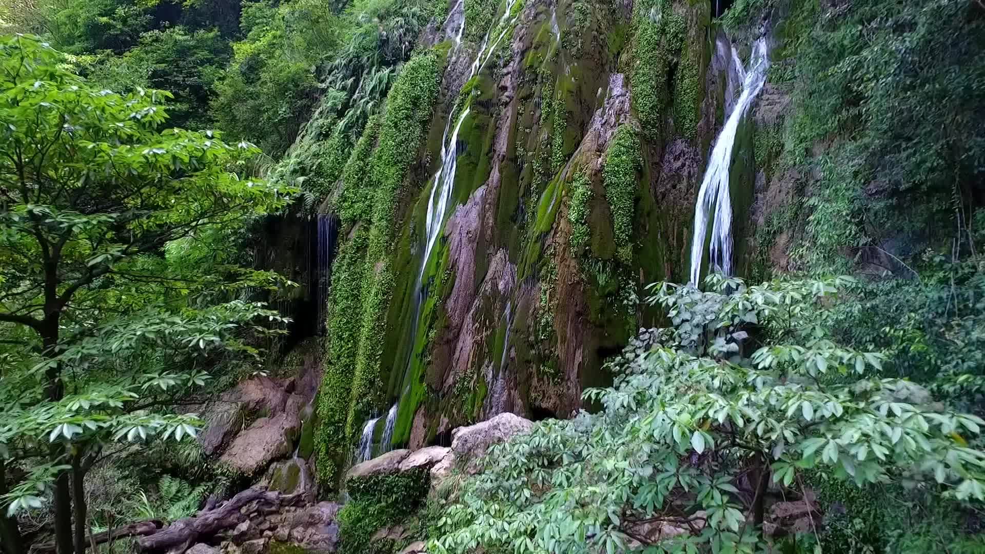 视频|中方夏日十大“冷”门景点——中方县康龙自然保护区