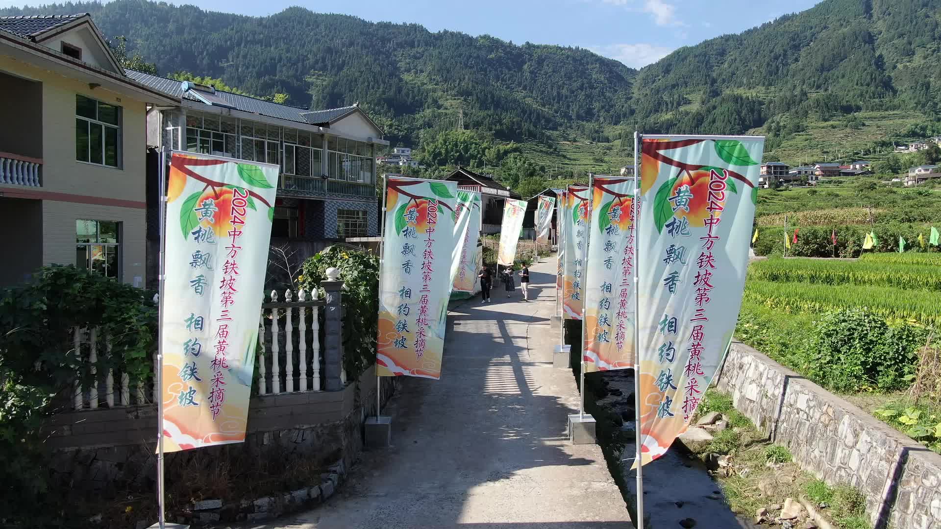 视频|寻味中方·黄桃飘香迎客来