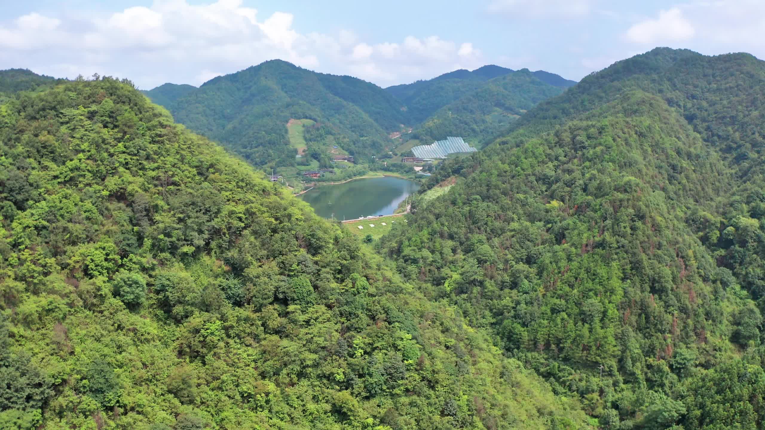 視頻｜中方縣：“葡萄溝”里“豐”景如畫