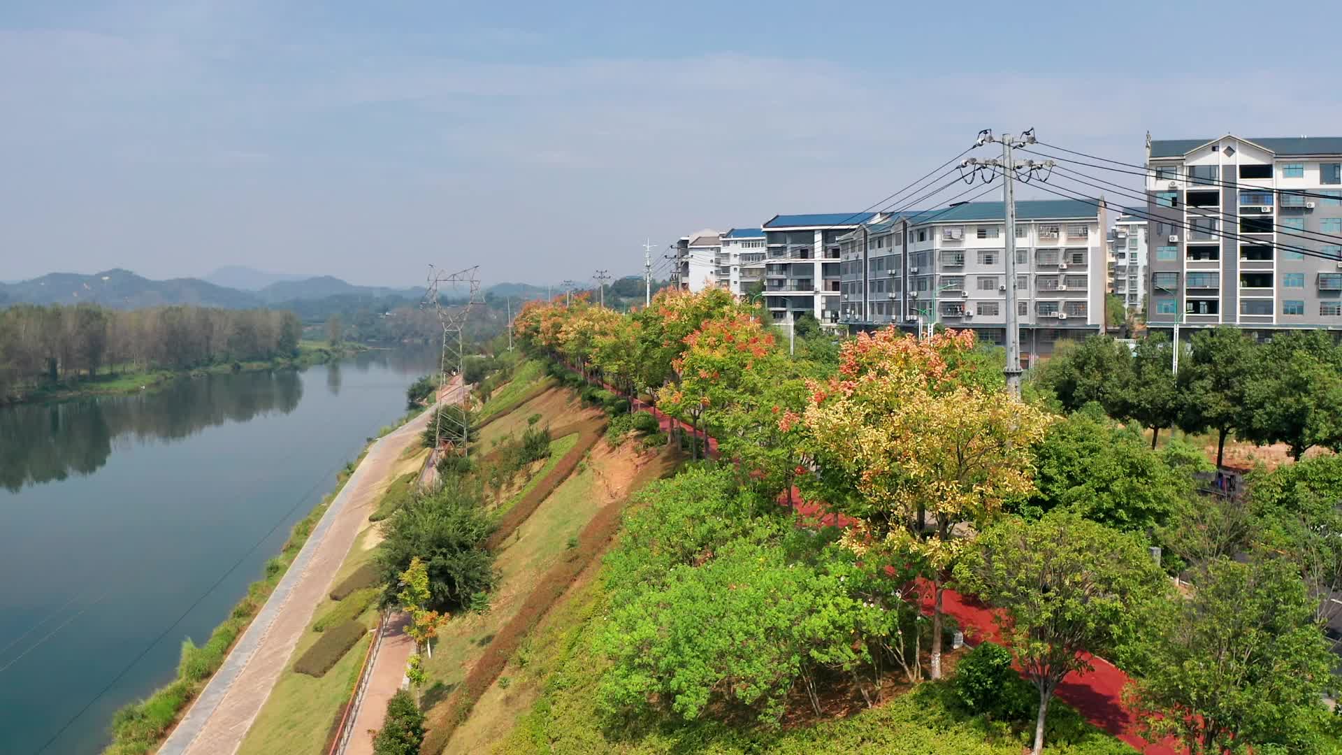 视频｜中方县：栾树映秋 河畔静美