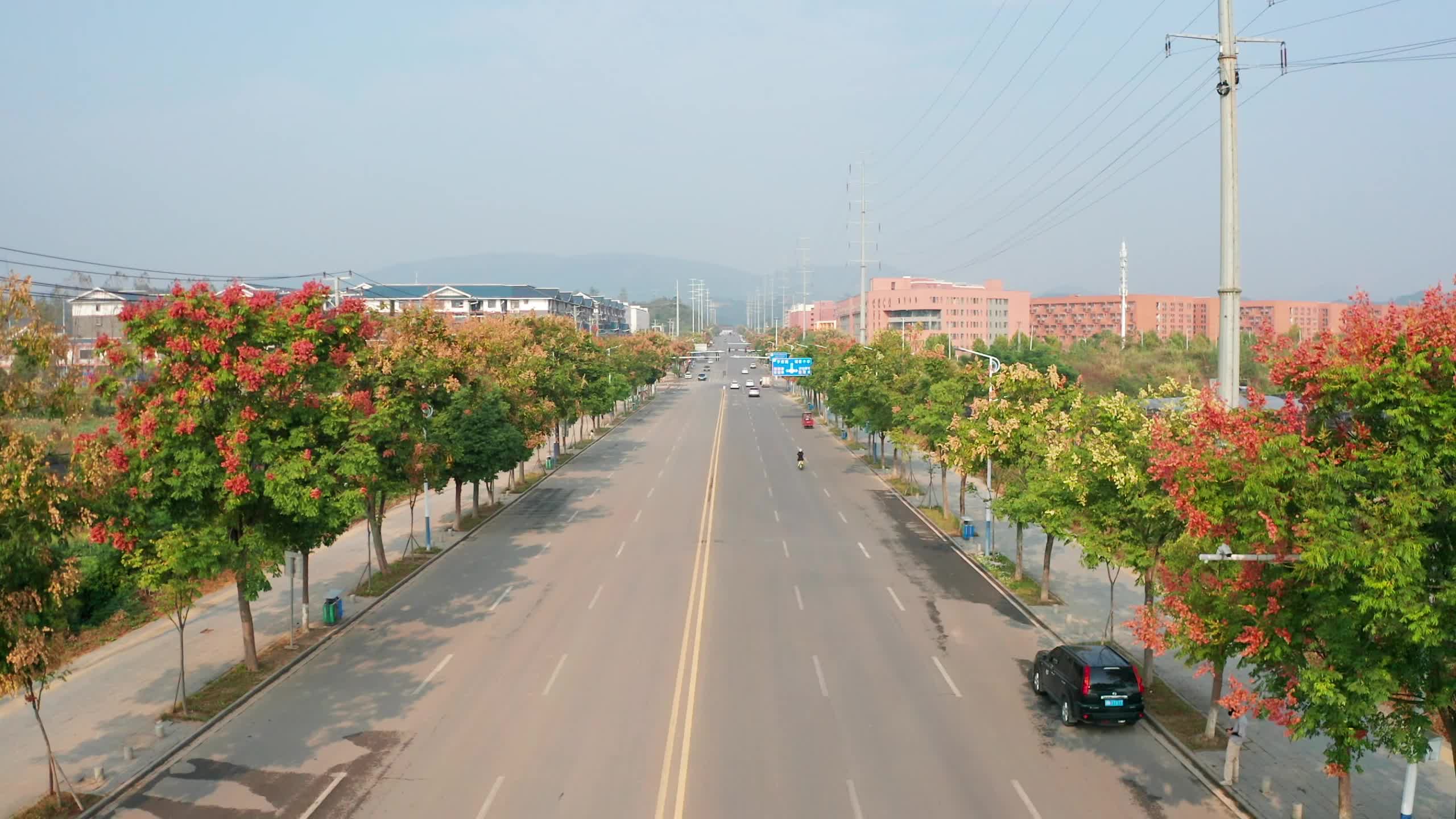 视频|中方县：栾树映长街 深秋若春景