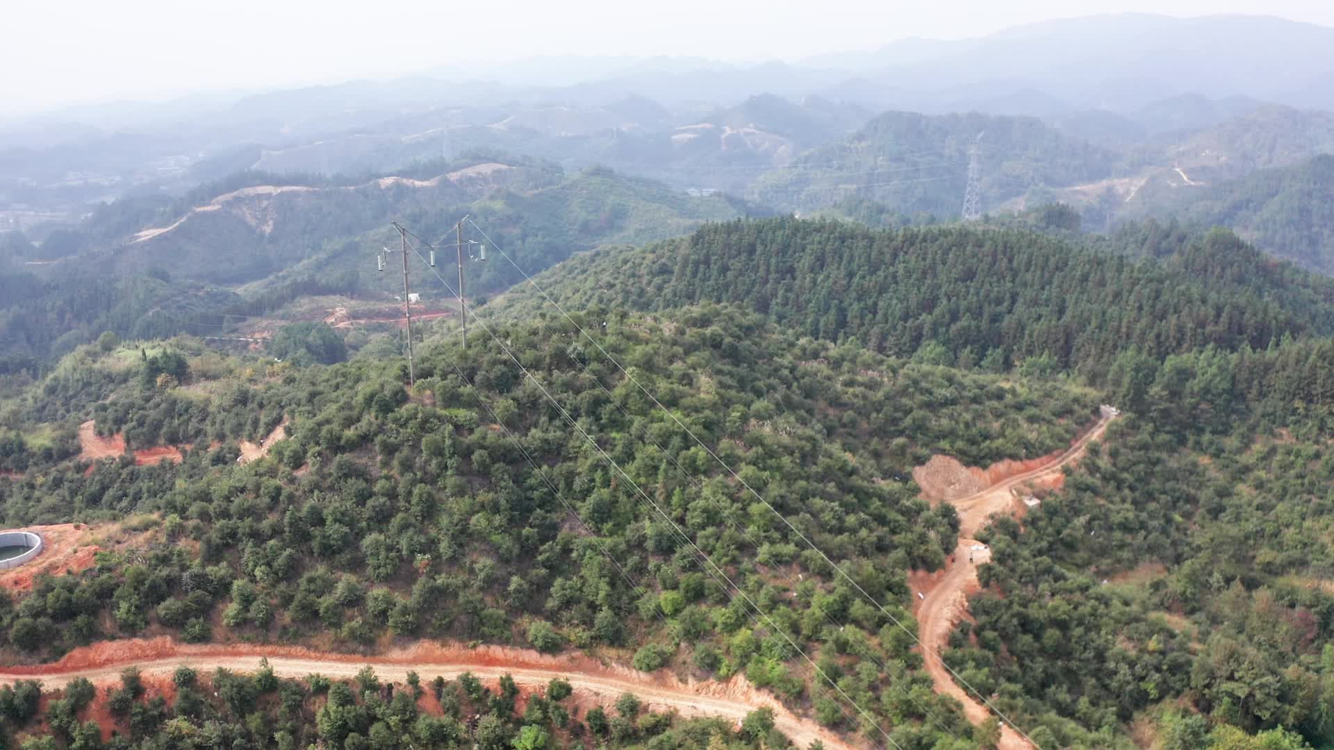 视频|中方县：40万亩油茶林结出10.5亿元“致富果”