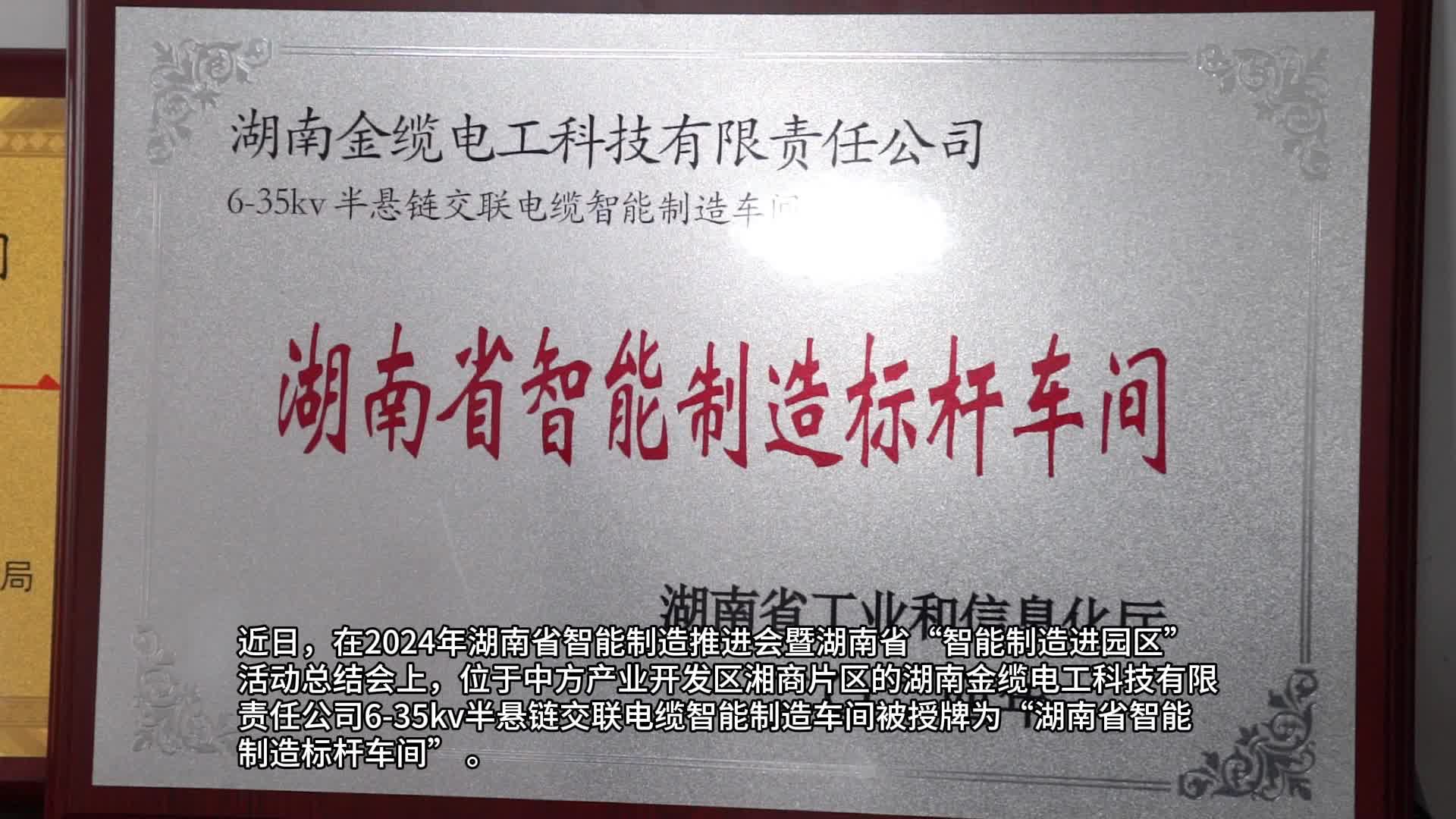 视频|中方县：湖南金缆电工科技有限责任公司获得2024年度湖南省智能制造标杆车间认定