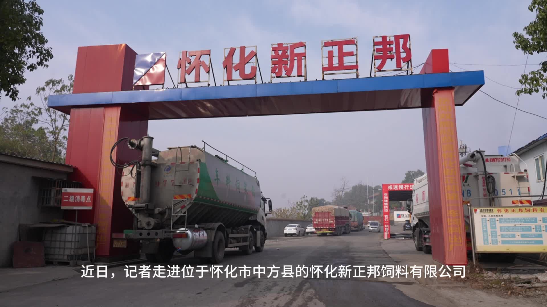 视频|规模工业企业不断壮大 助力县域经济发展