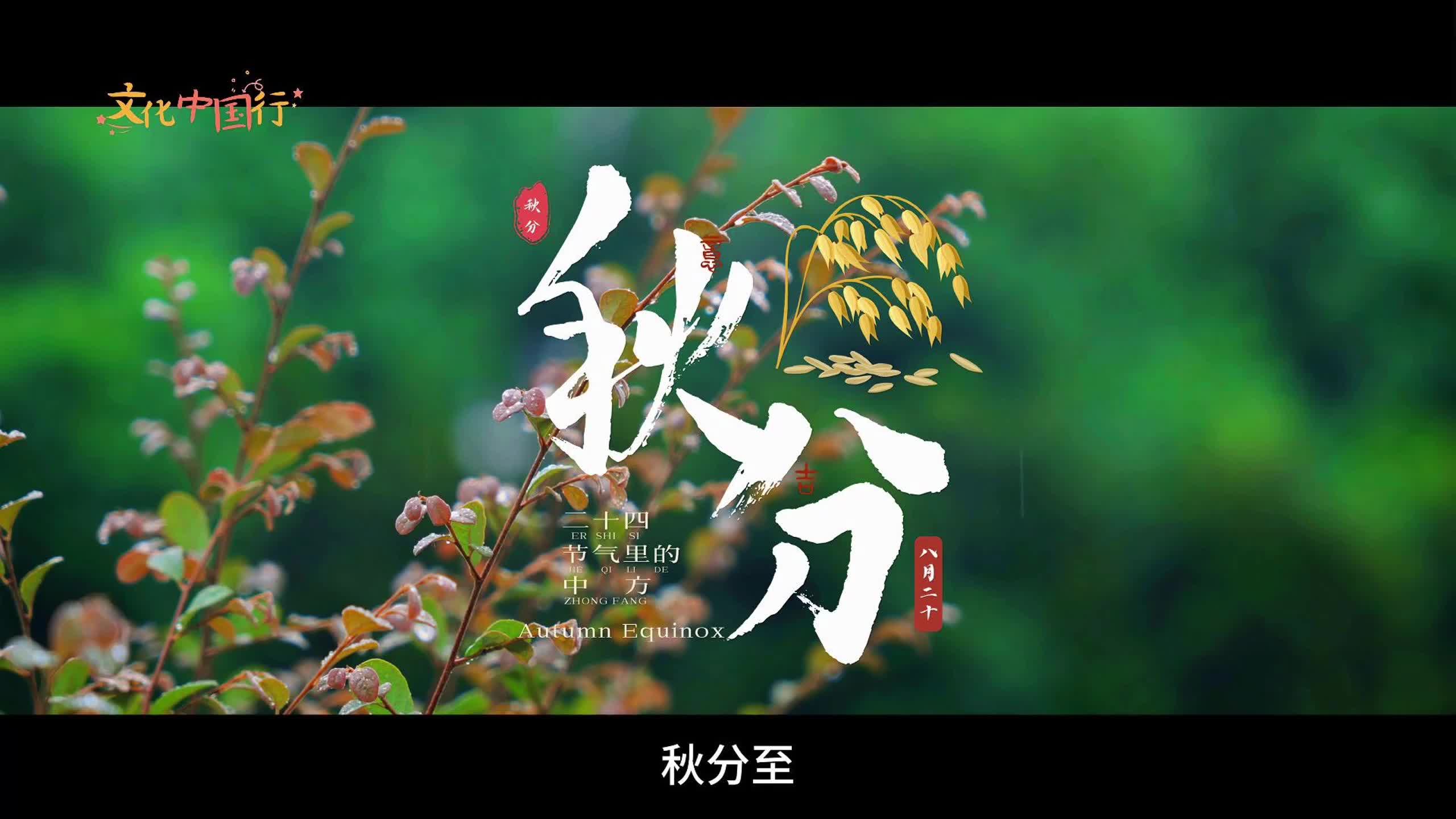 视频｜文化中国行·二十四节气里的中方——秋分