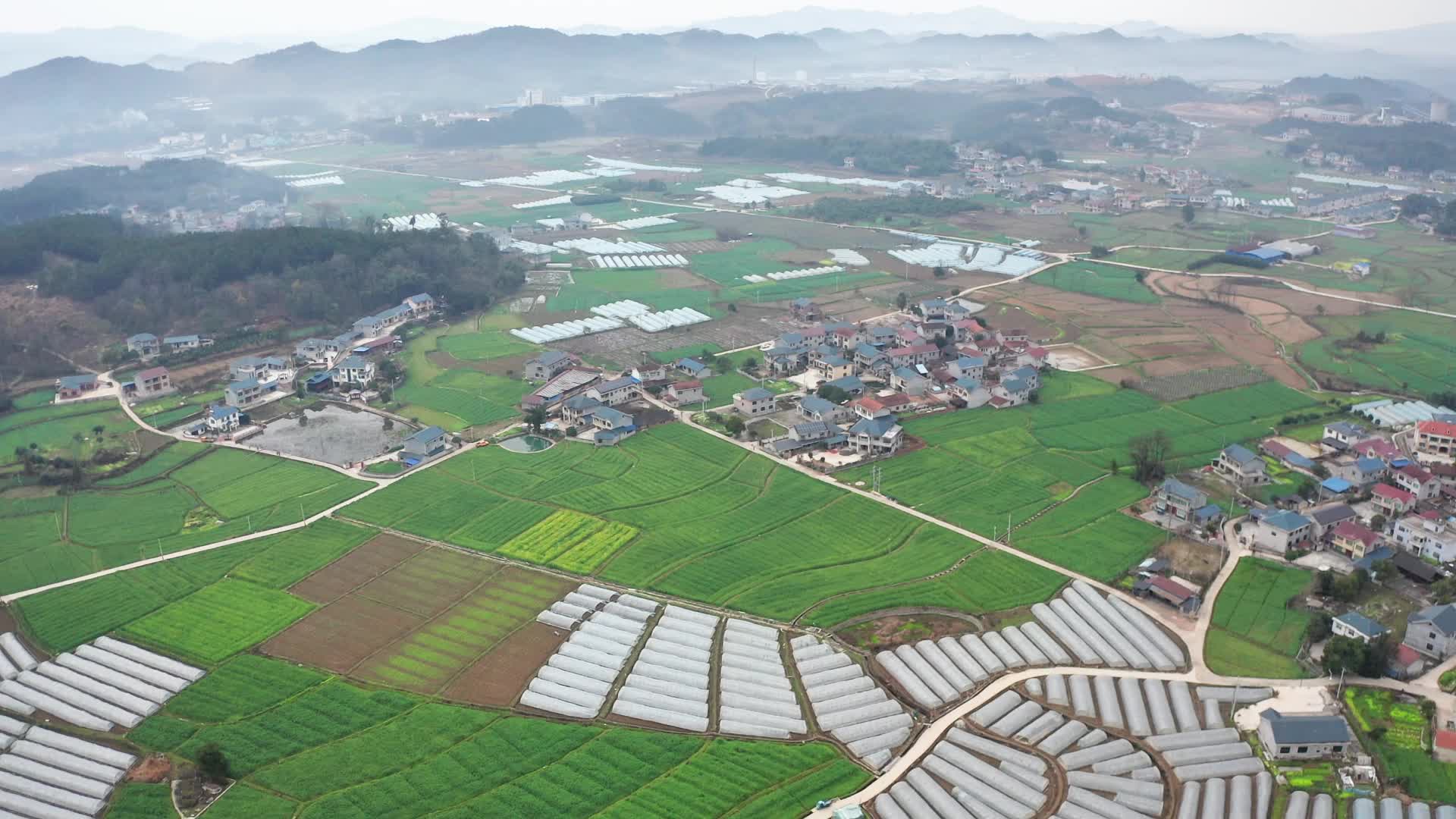 ​视频|中方县：田野染新绿 奋进春天里