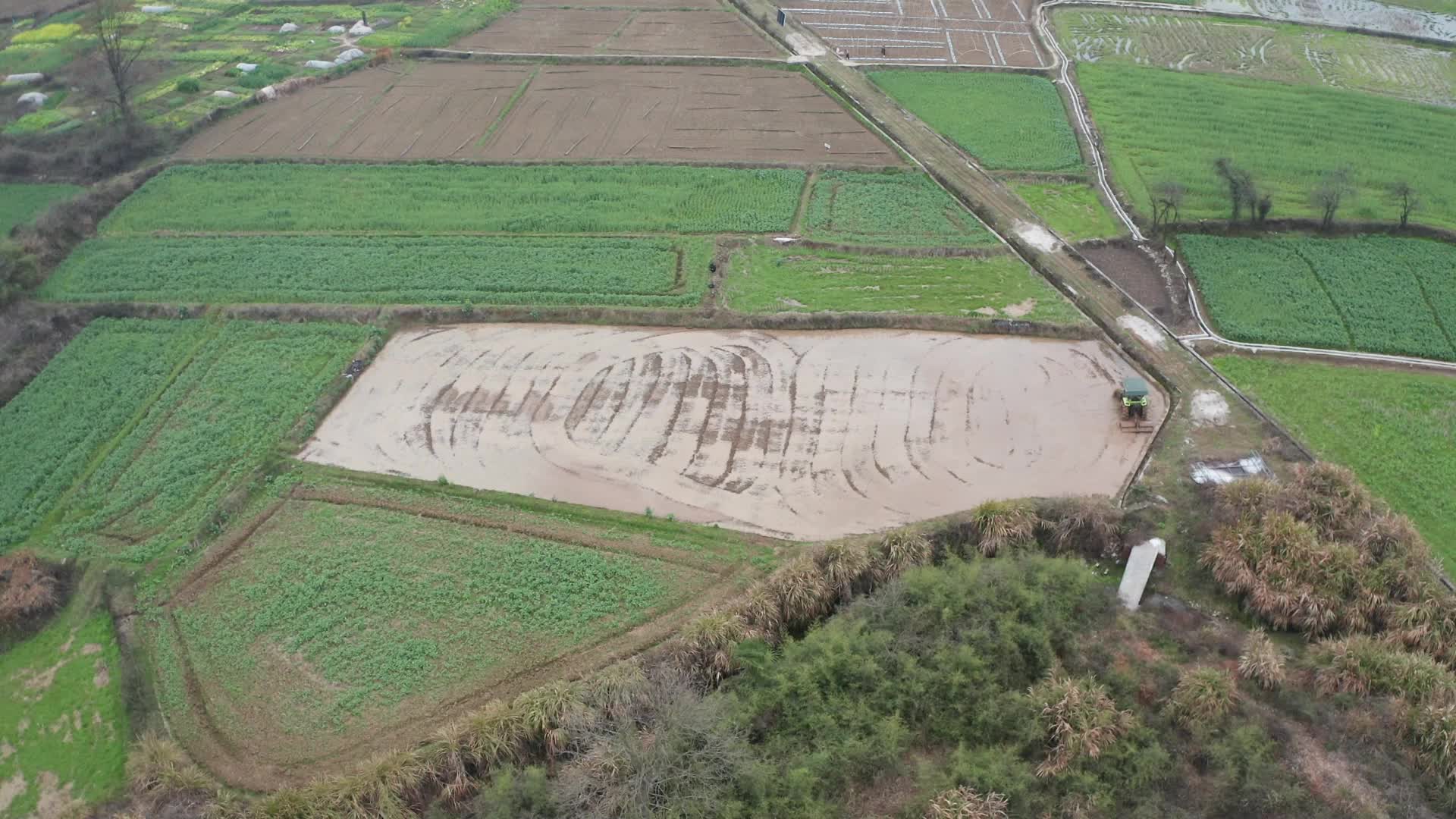 视频|中方县：早翻稻田少病虫 粮食丰收添保障