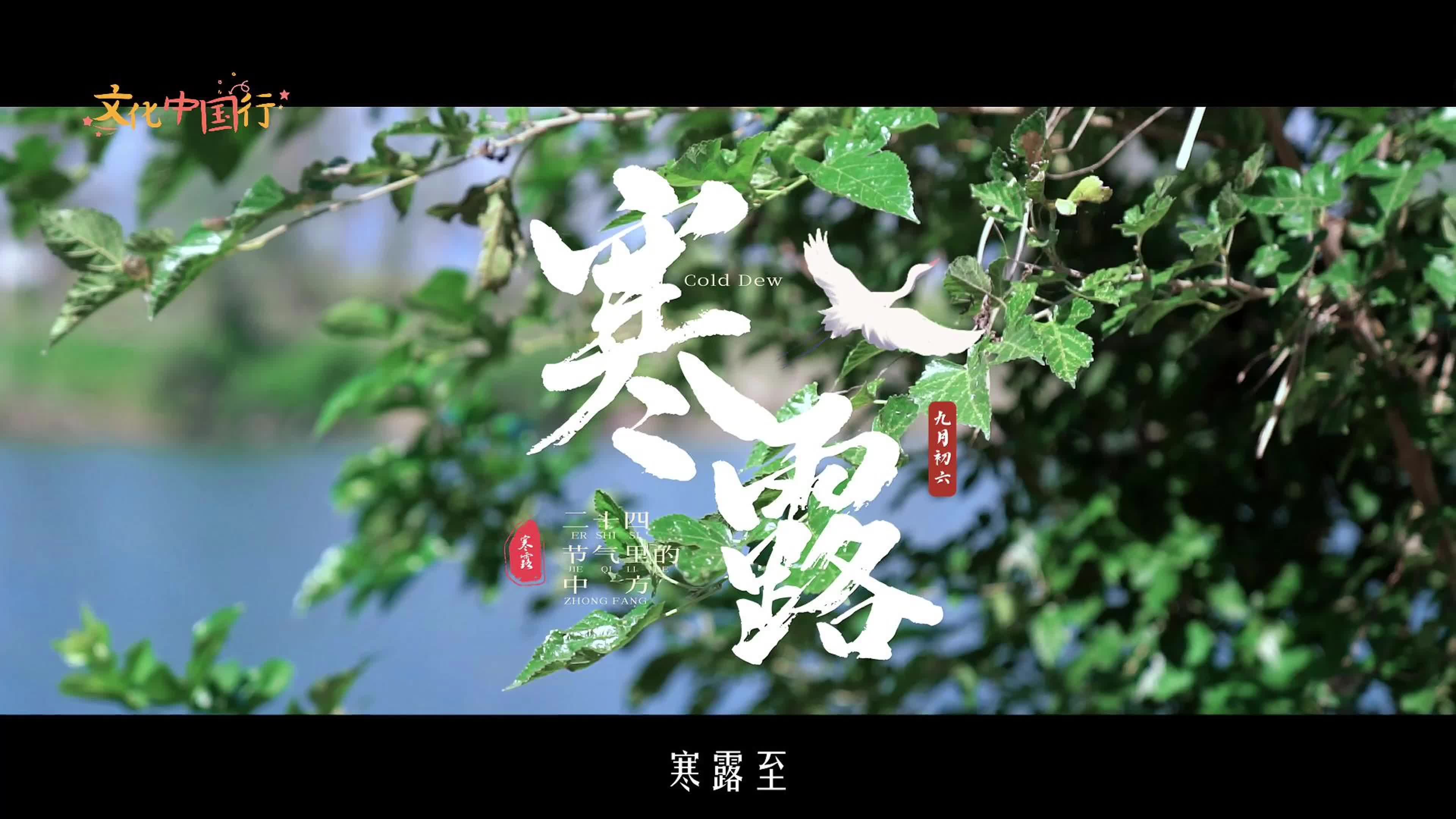 视频｜文化中国行·二十四节气里的中方——寒露