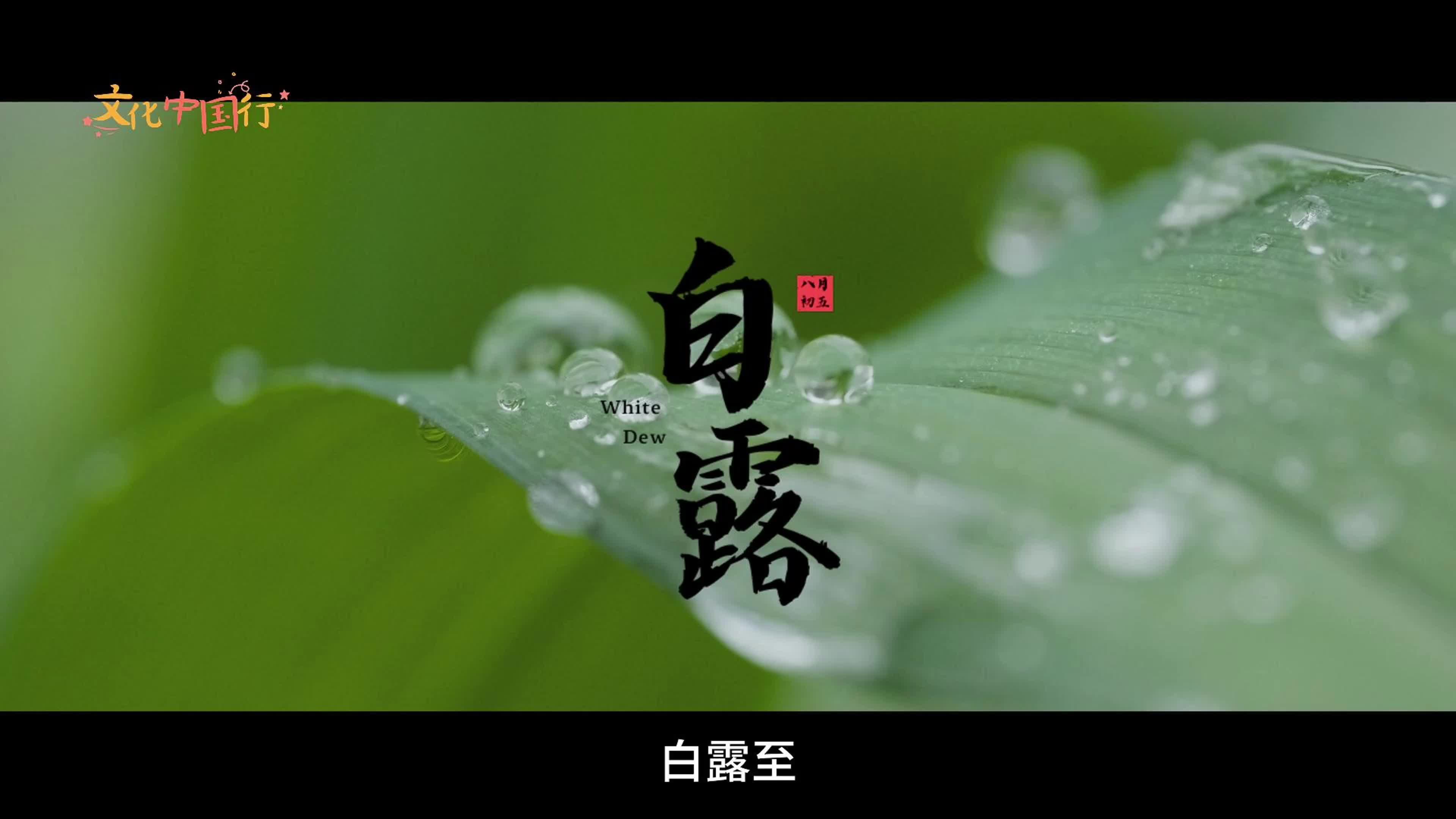 视频｜文化中国行·二十四节气里的中方——白露