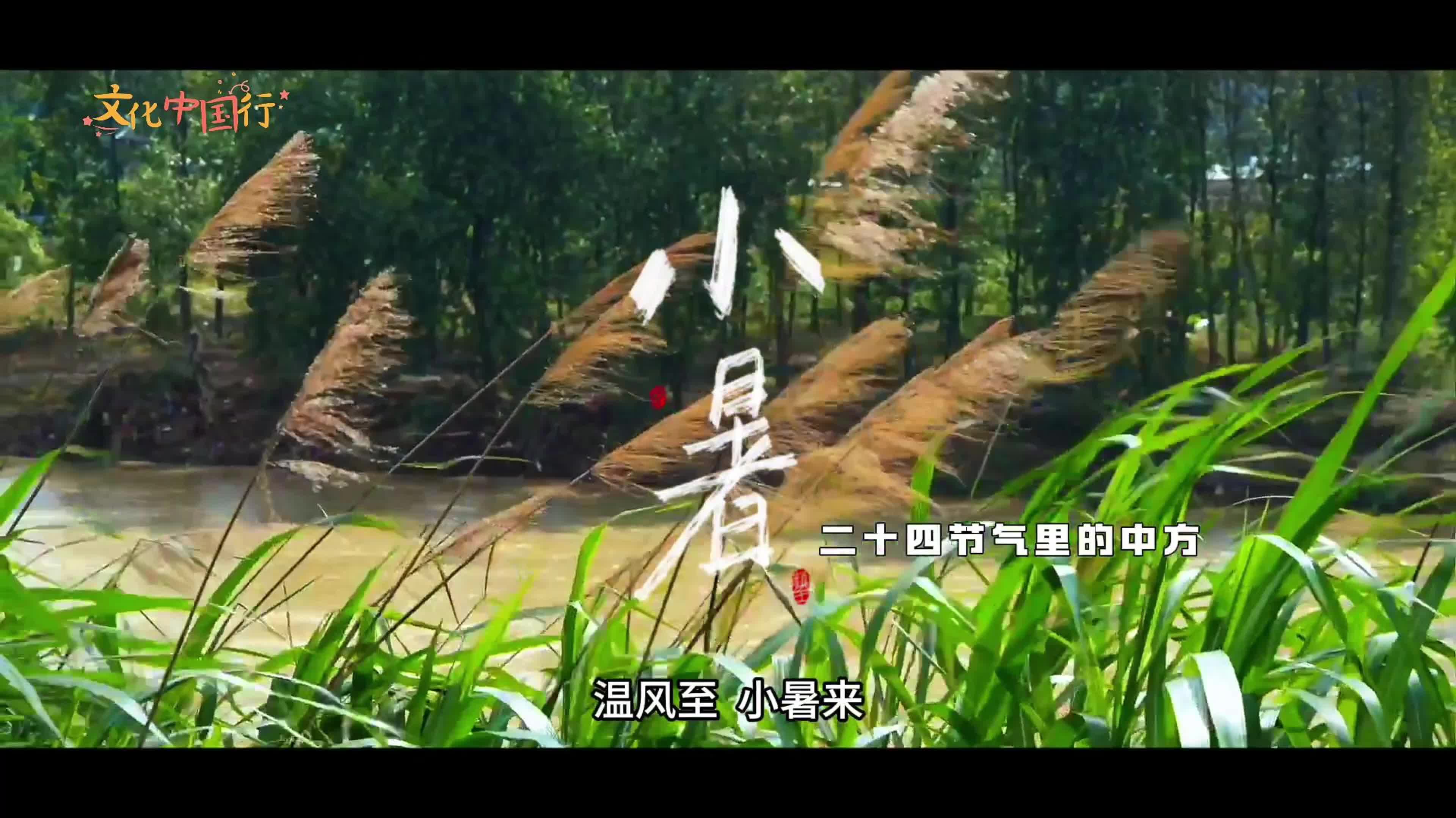 视频｜文化中国行·二十四节气里的中方——小暑