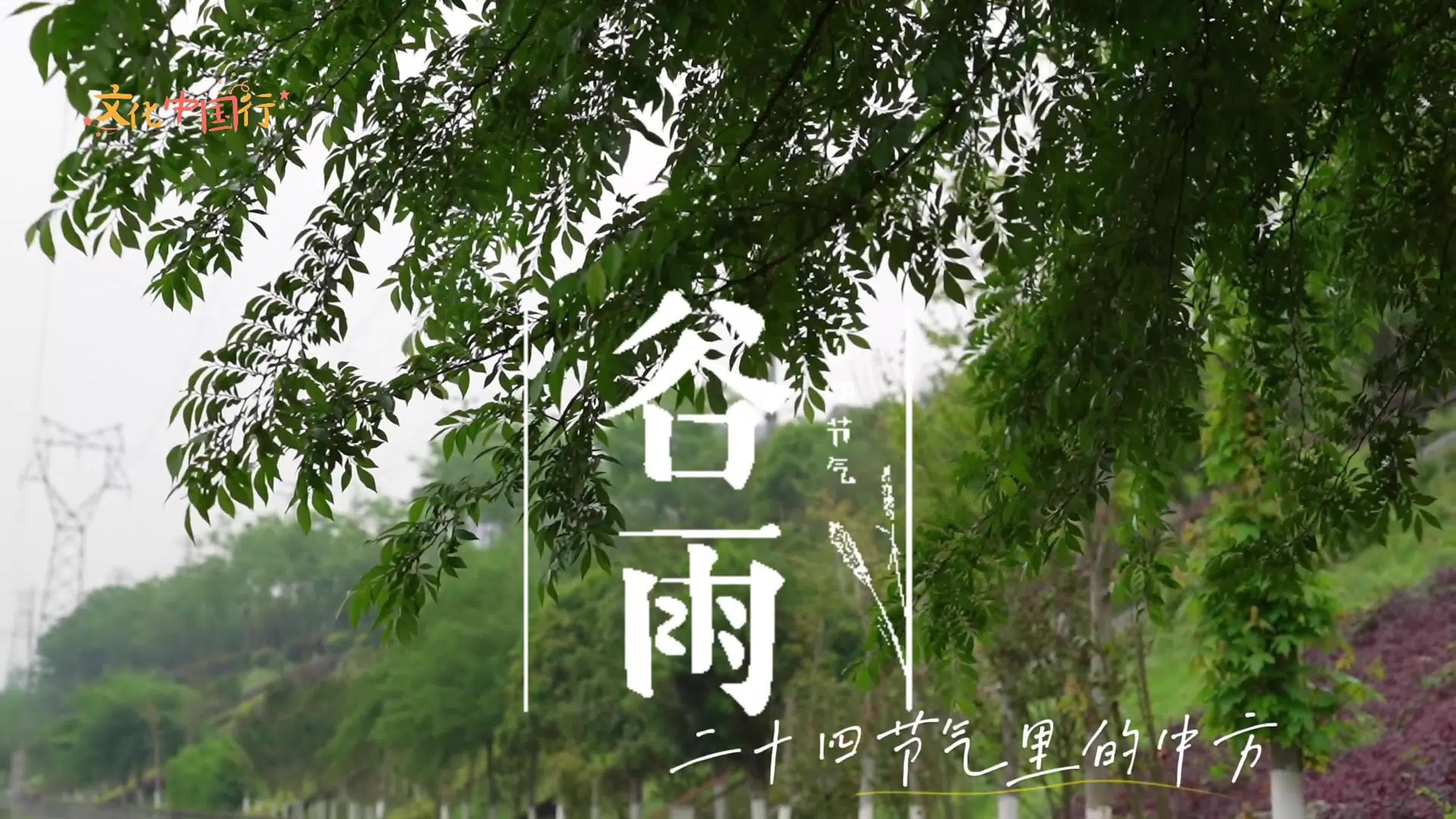 视频｜文化中国行·二十四节气里的中方——谷雨