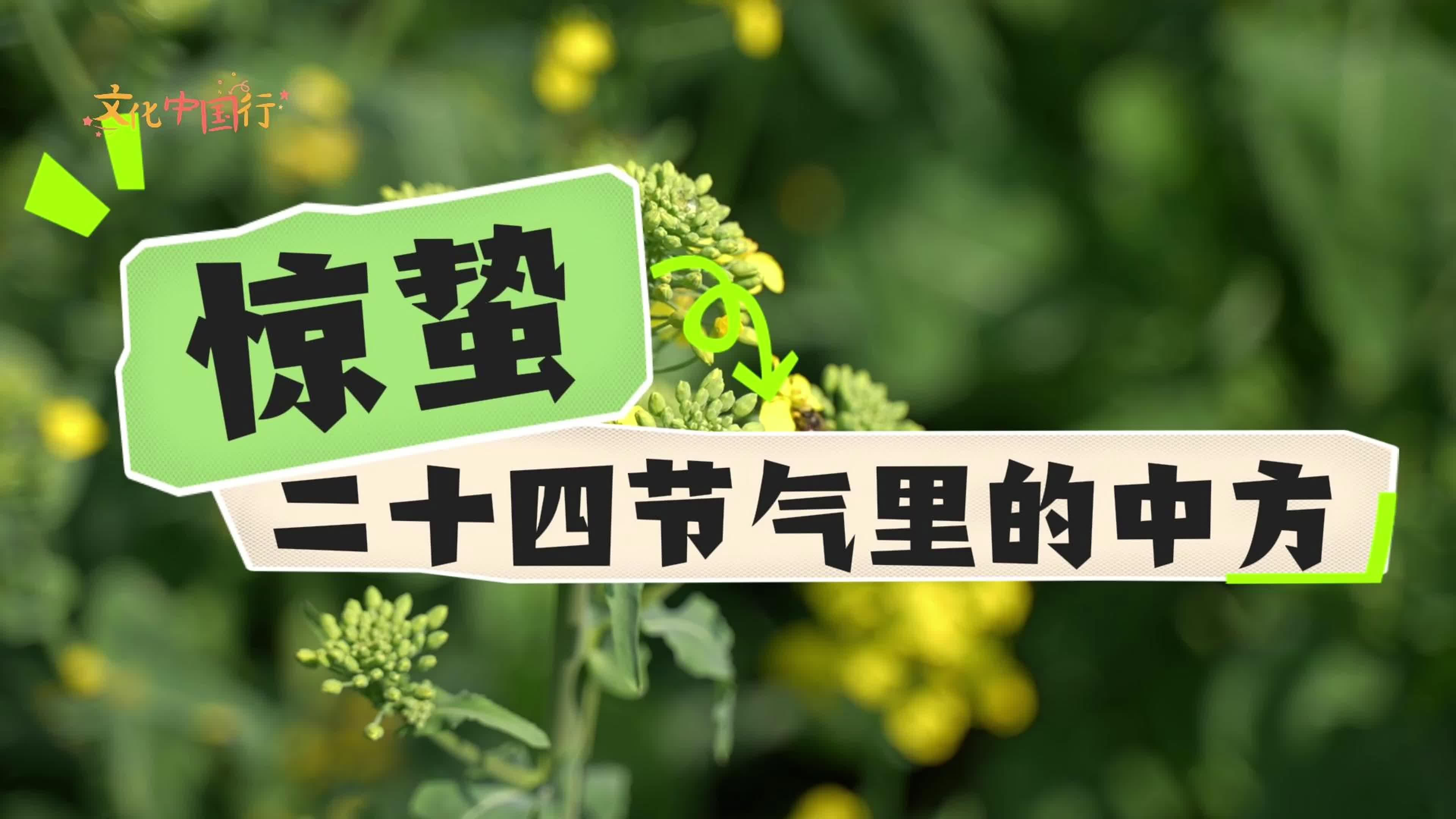 视频｜文化中国行·二十四节气里的中方——惊蛰