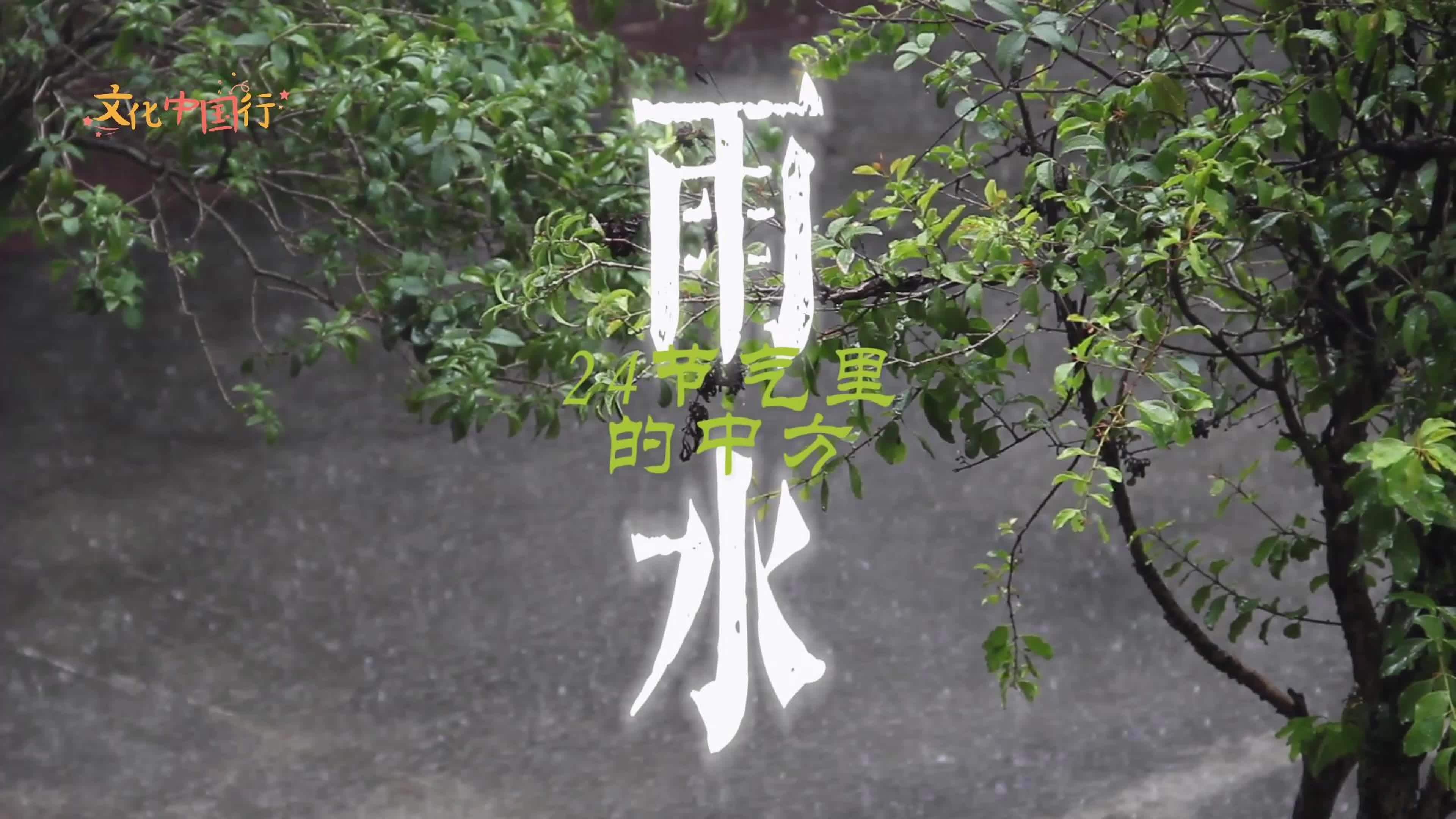 视频｜文化中国行·二十四节气里的中方——雨水