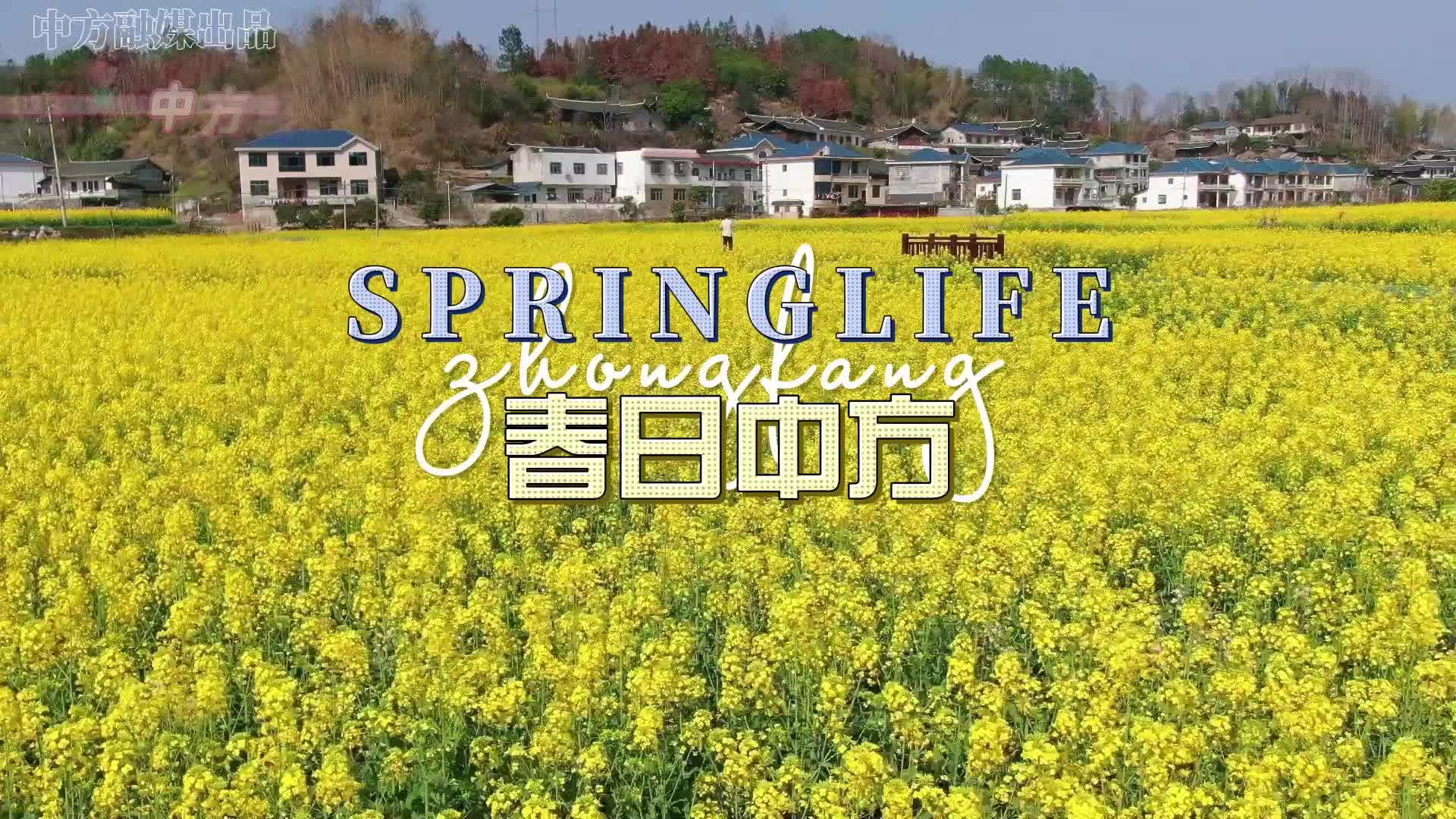 视频|一张机票来春日中方~