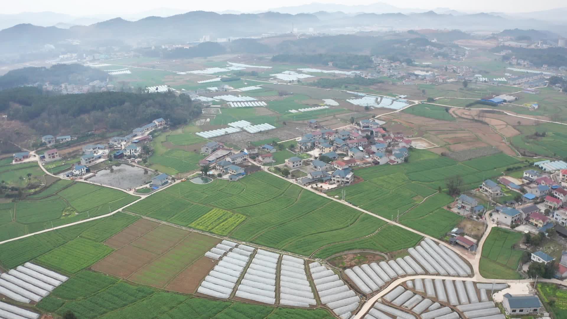 视频|中方县桥上村：西瓜地里忙春耕 产业振兴有活力