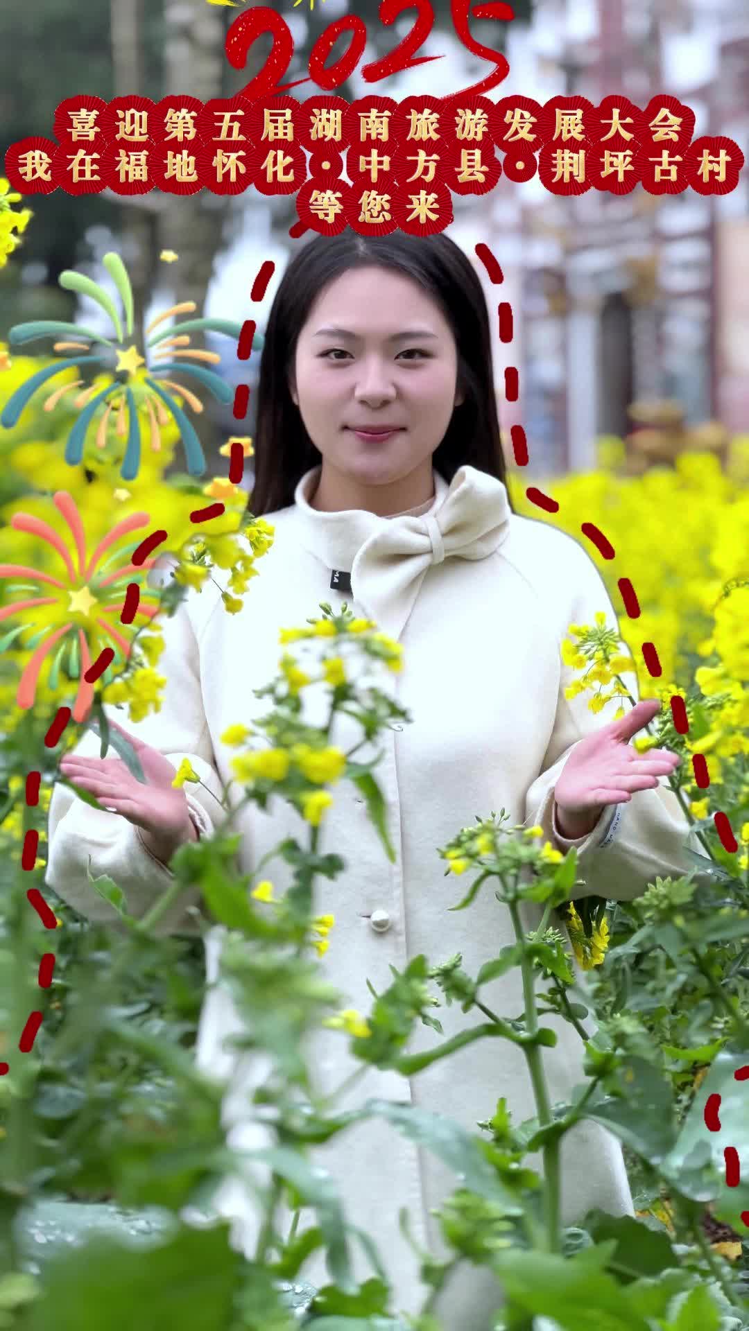 视频|节气里的荆坪——春分·七星古树