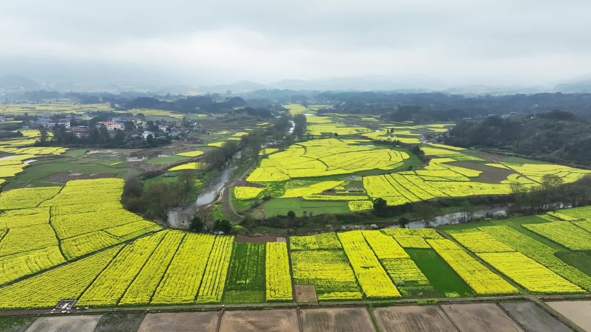 福地怀化·浪漫季｜中方县铜湾镇堆子村：油菜花开美如画