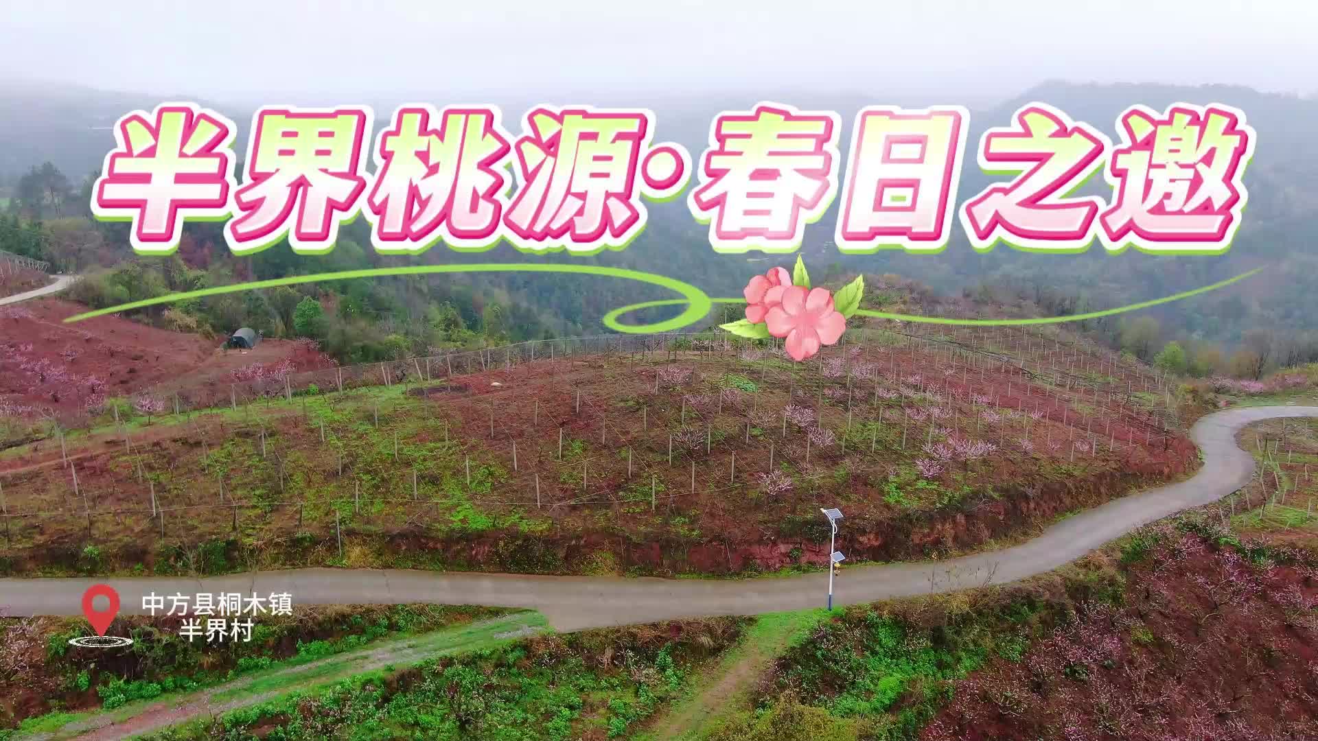 福地怀化·浪漫季|3月25日 共赴半界桃花约